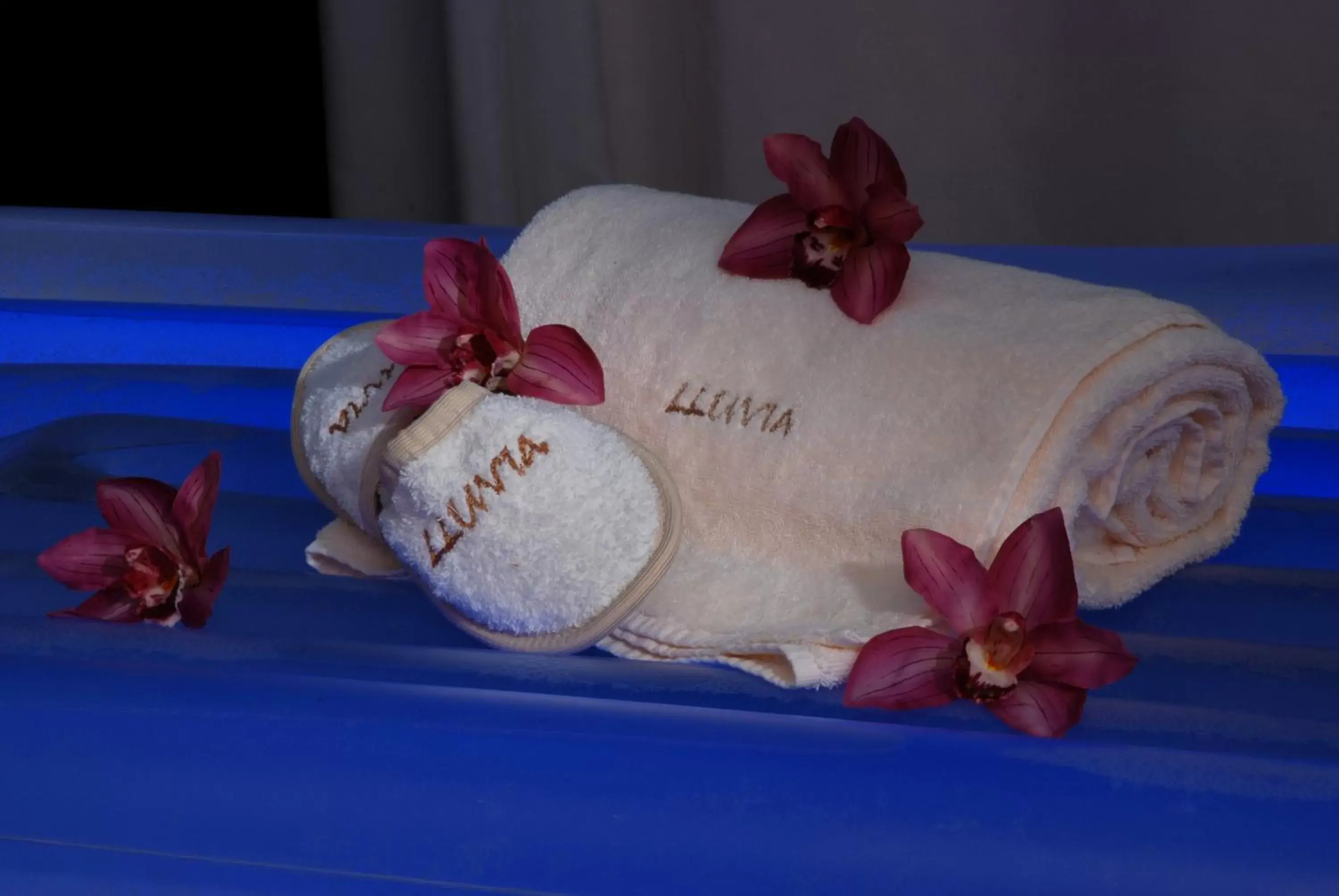 Spa and wellness centre/facilities, Bed in Hotel Leopardi