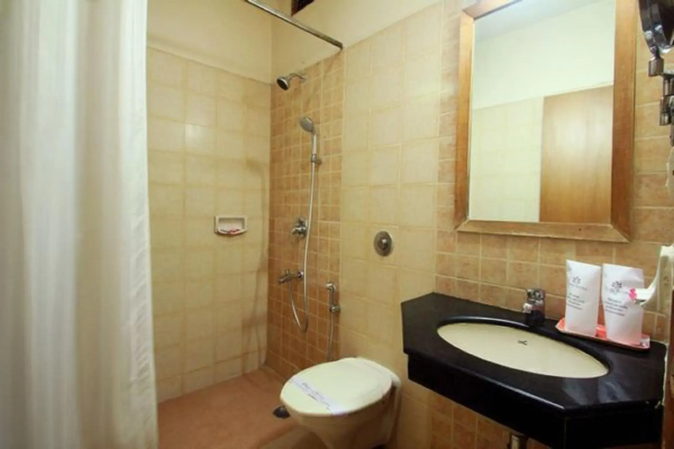 Bathroom in Hotel Roopa