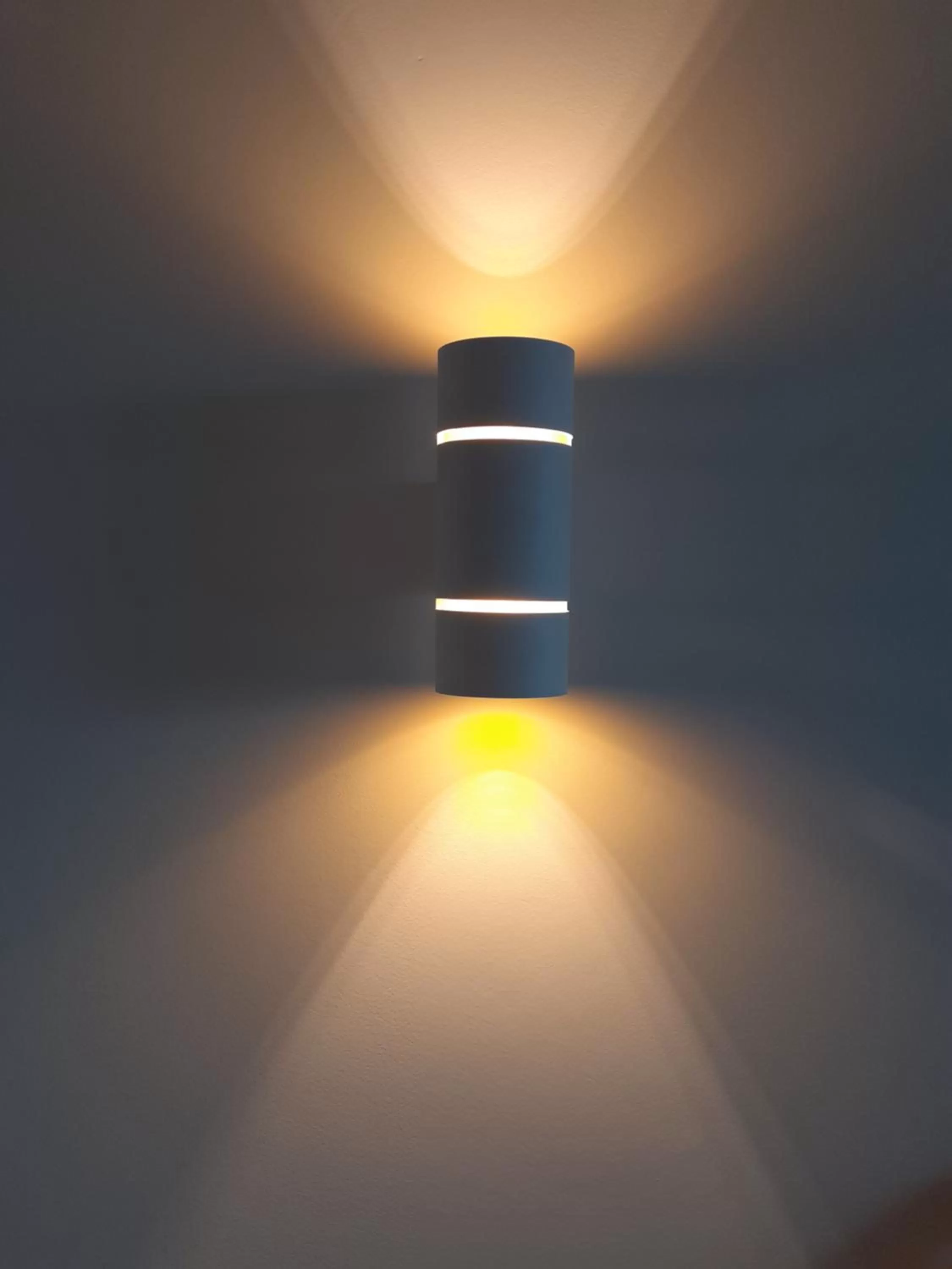 Decorative detail in Au coucher du lac