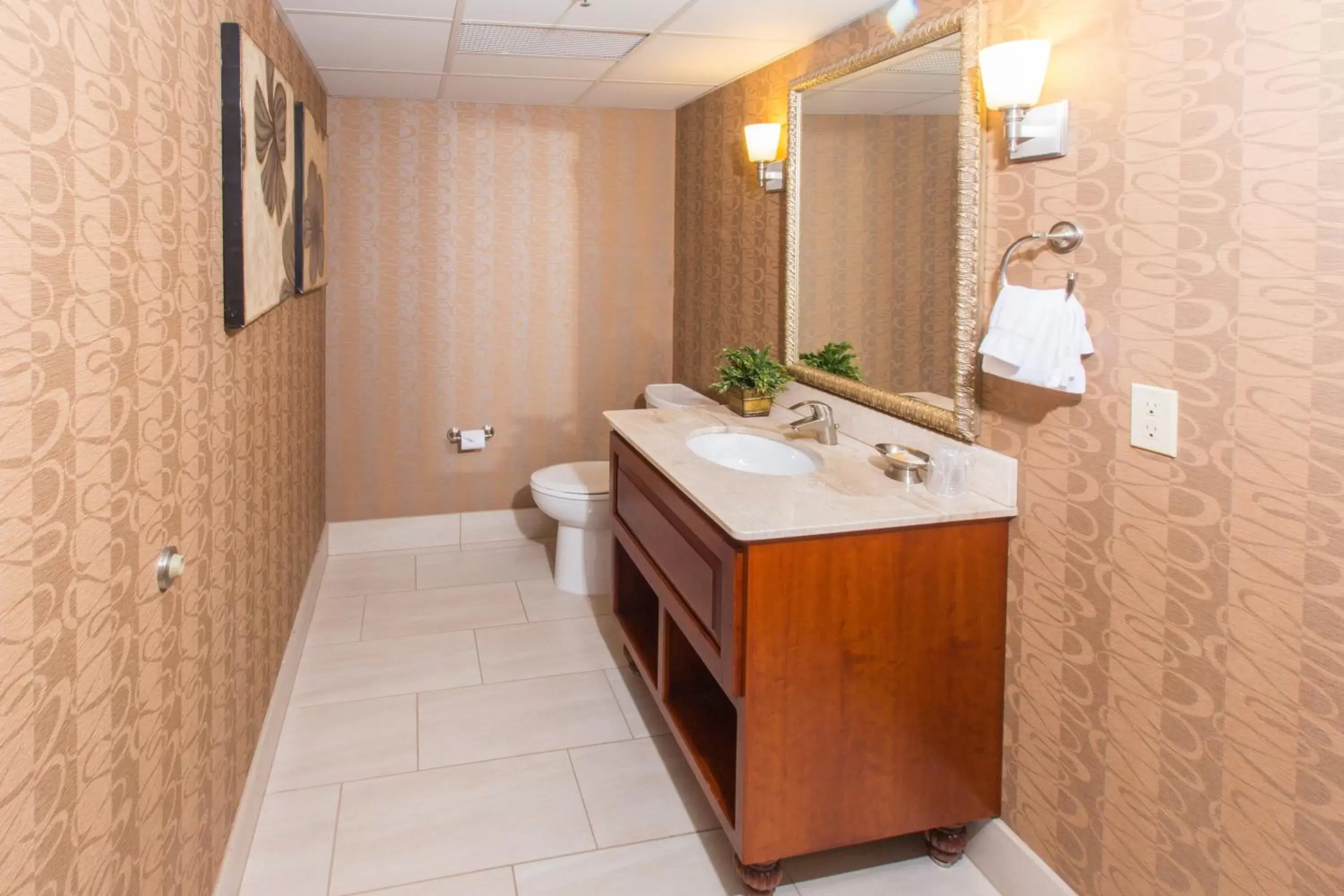 Photo of the whole room, Bathroom in Holiday Inn Sioux Falls-City Center, an IHG Hotel
