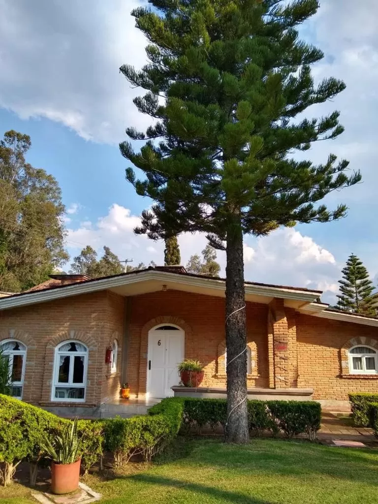 Garden in Hotel Villa Monarca Inn
