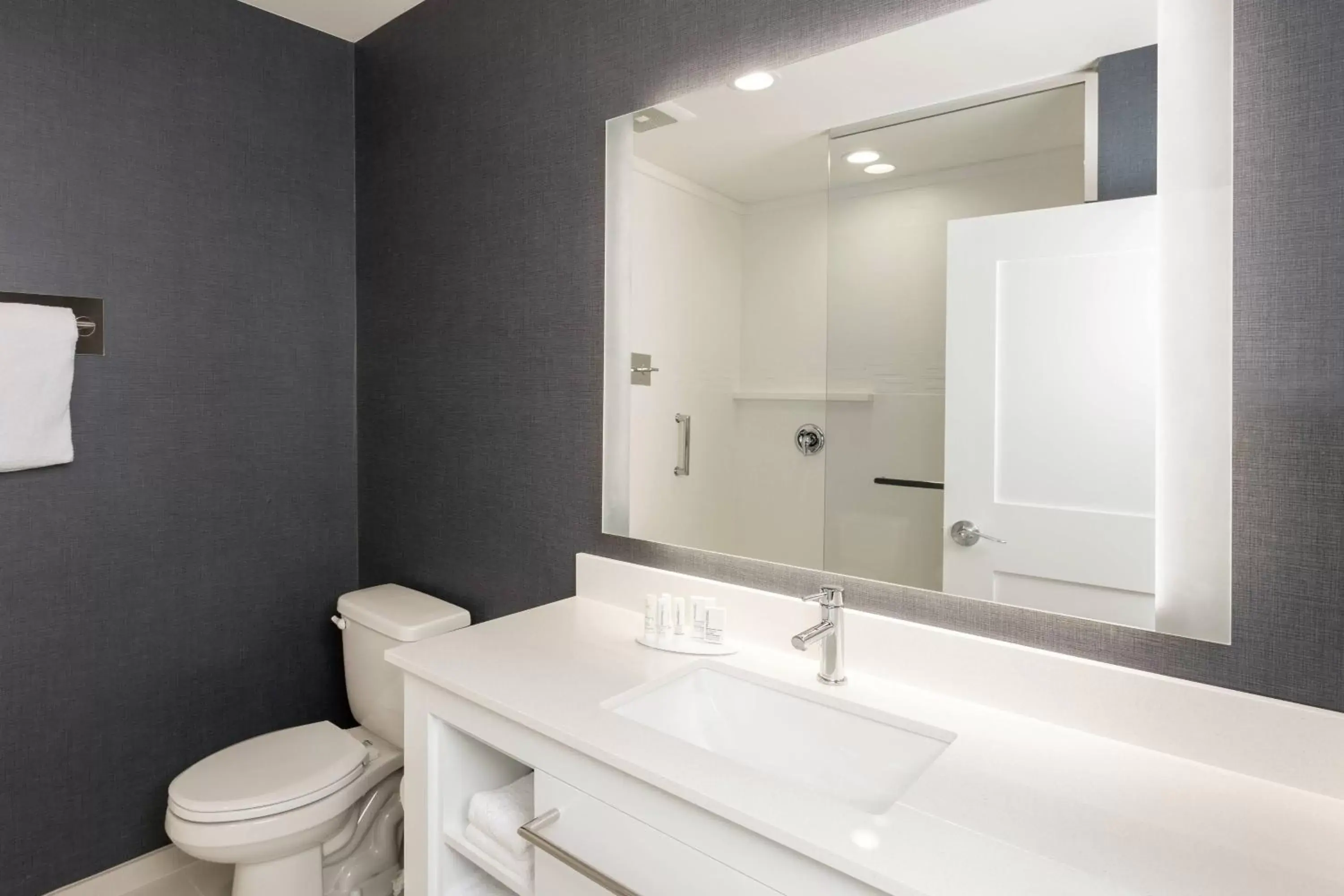 Bathroom in Residence Inn By Marriott Philadelphia Bala Cynwyd