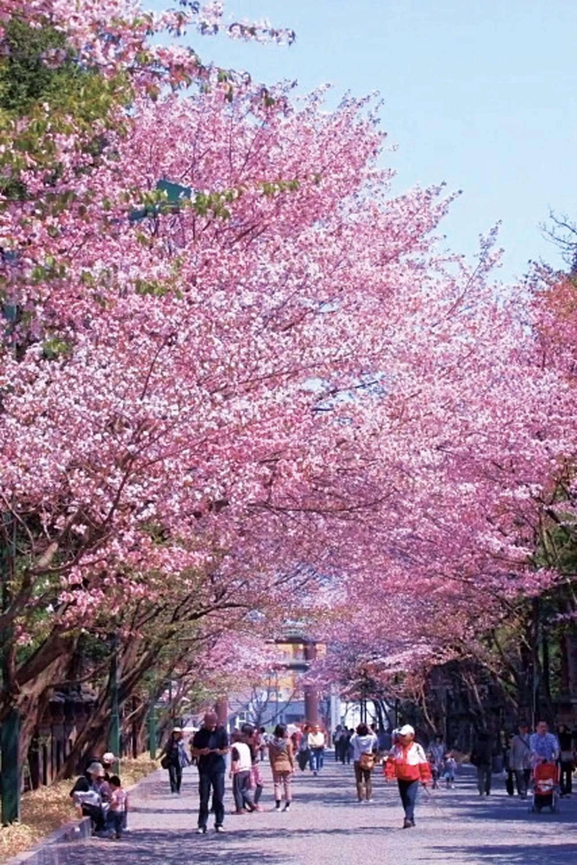 Area and facilities in Century Royal Hotel Sapporo