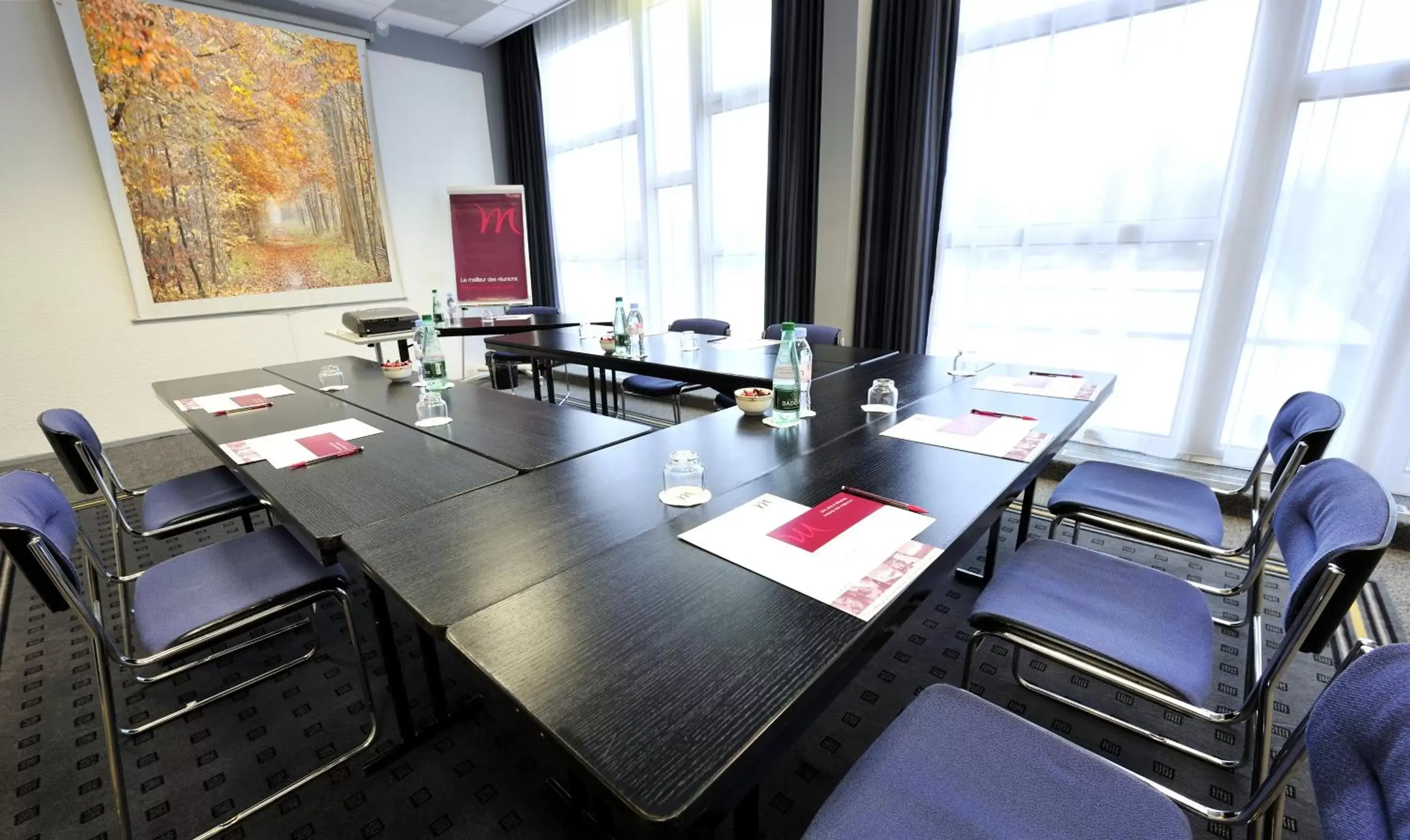 Business facilities in Mercure Rouen Val de Reuil