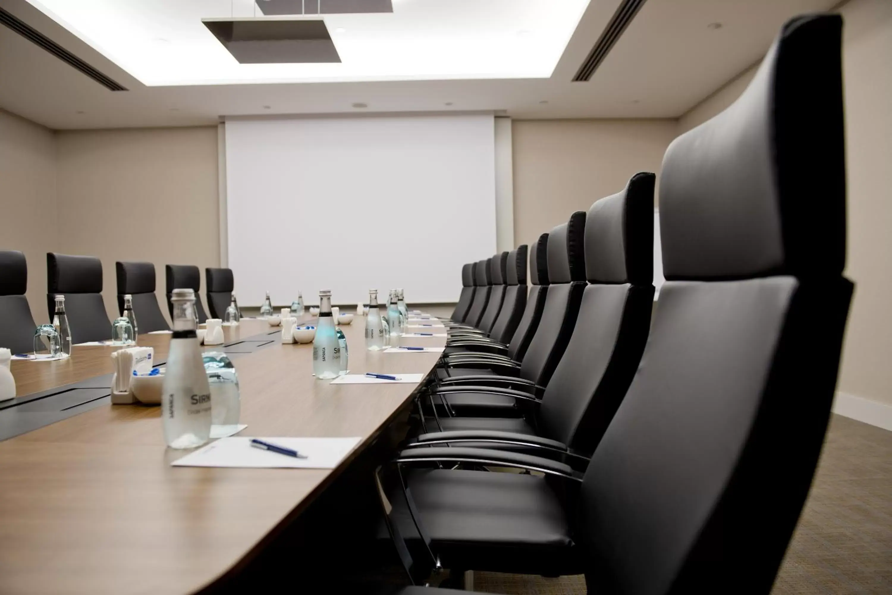 Business facilities in Radisson Blu Hotel, Kayseri