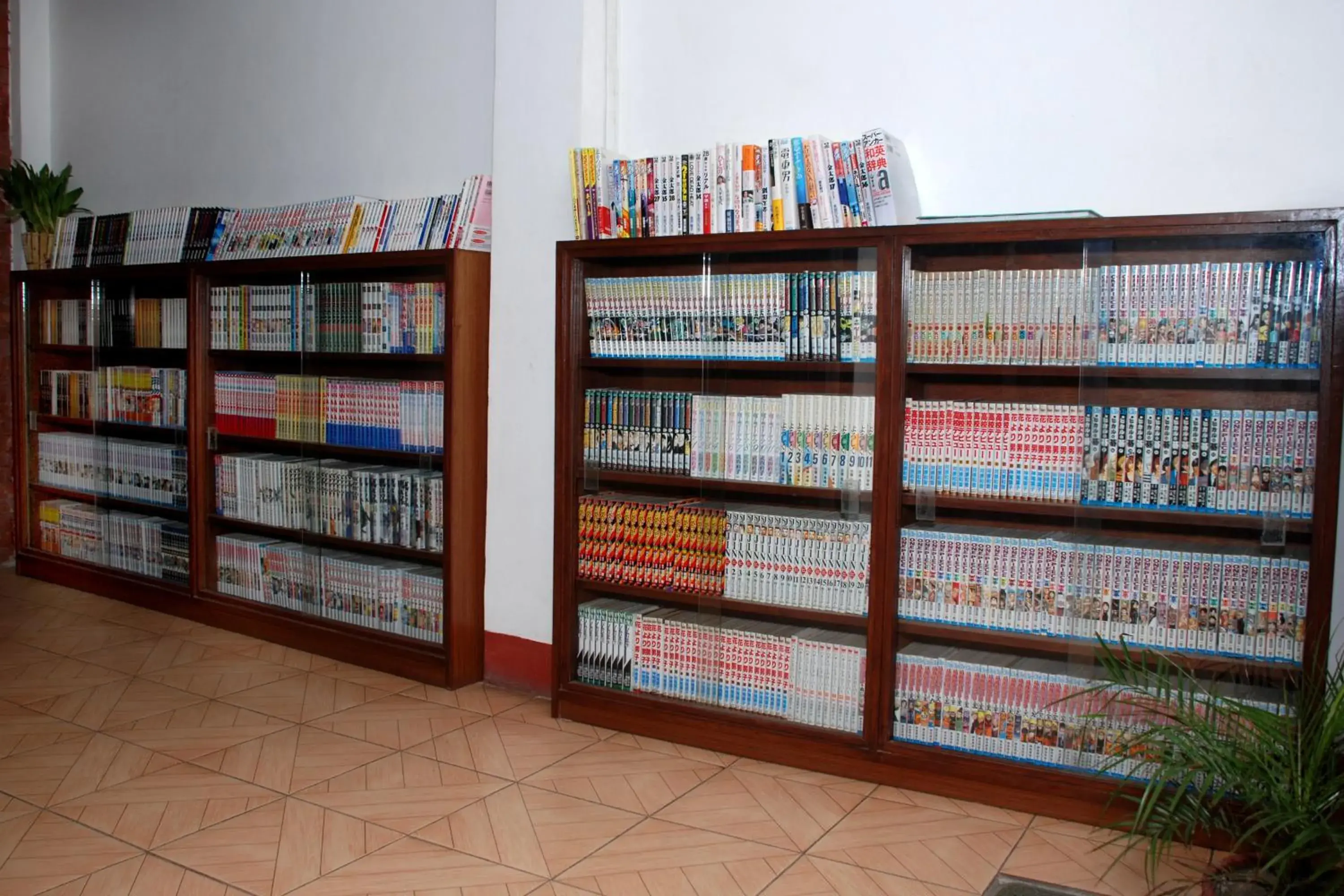 Communal lounge/ TV room, Library in Hotel Travelers Home