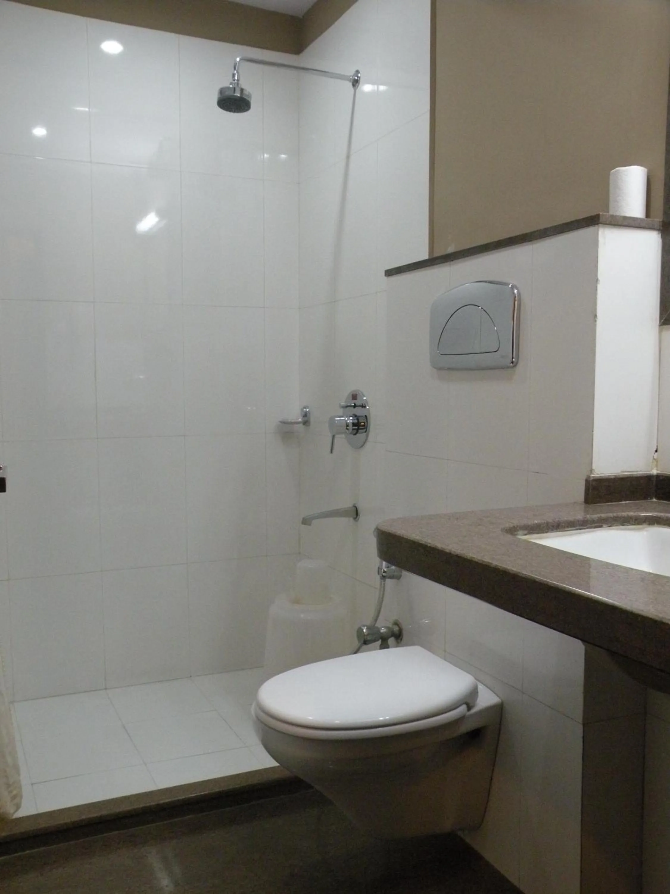 Toilet in Ratnawali – A Vegetarian Heritage Hotel