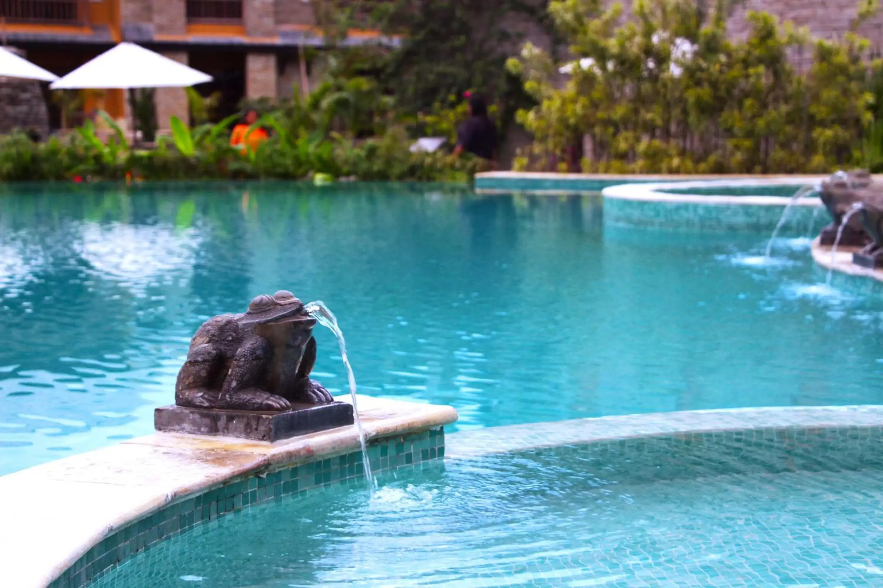 Swimming pool in Temple Tree Resort & Spa Swimming pool in Temple Tree Resort & Spa