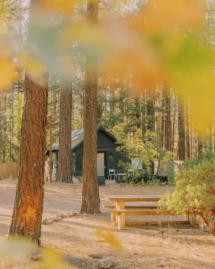 Property Building in Colorado Lodge