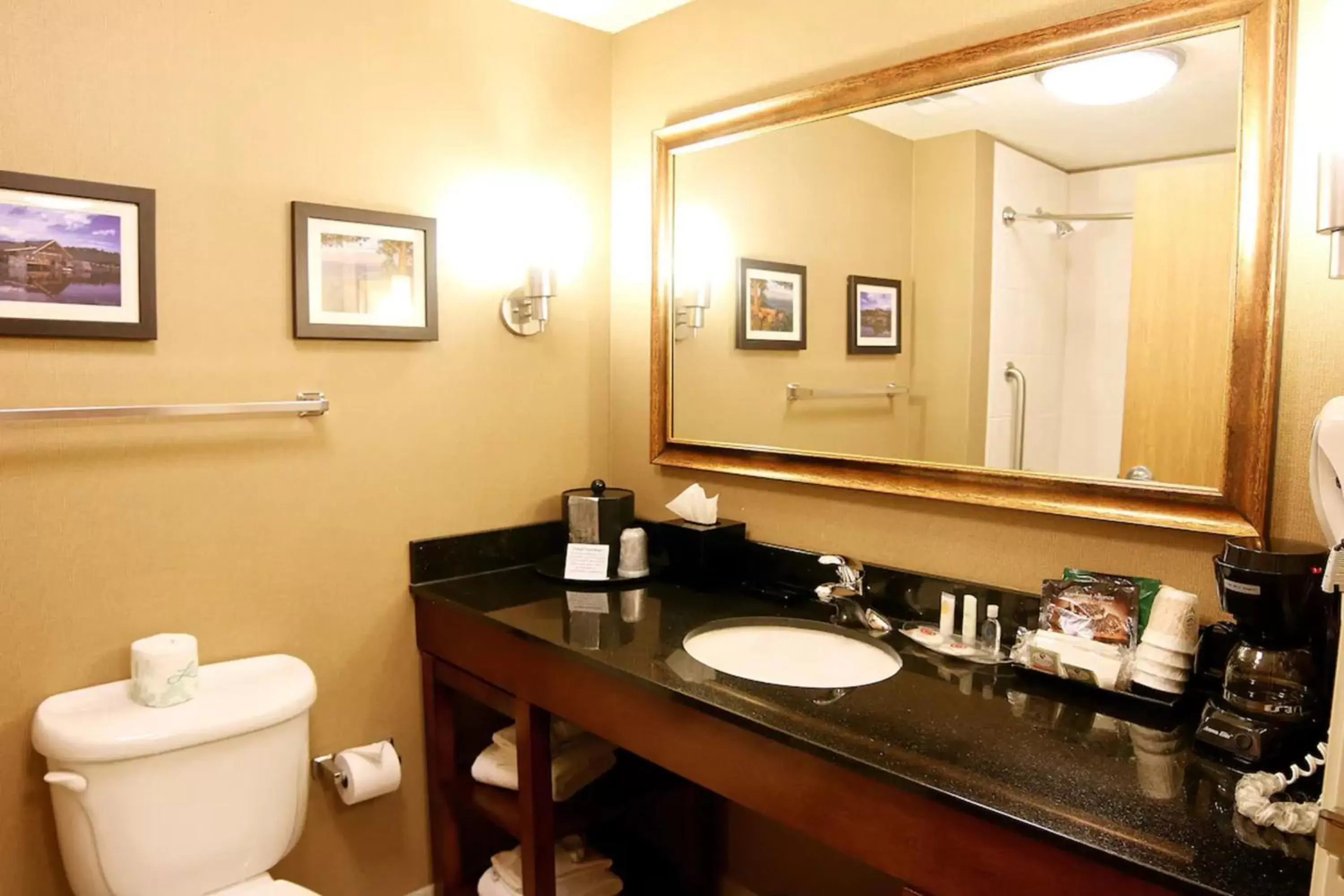 Bathroom in Comfort Suites Longmont