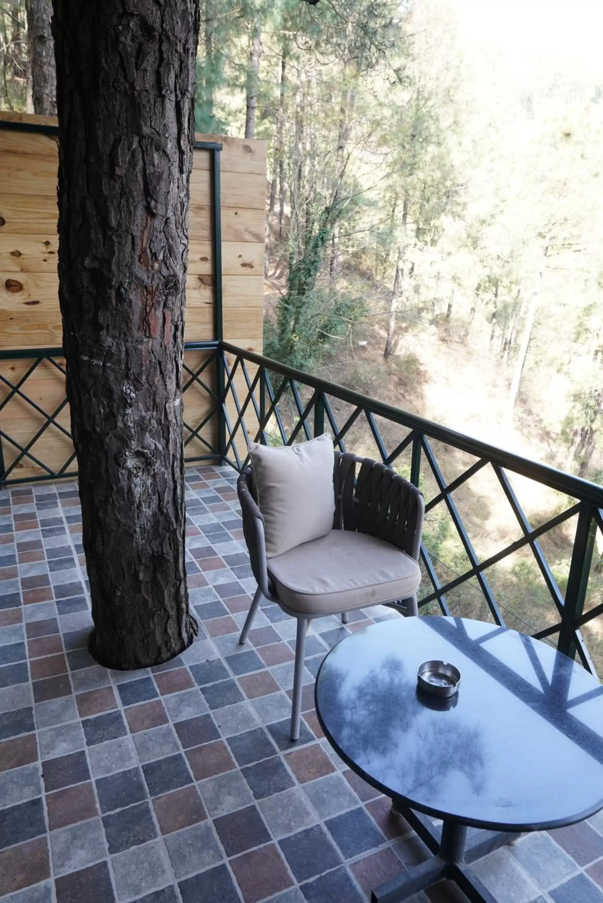 Balcony/Terrace in Kasauli Hills Resort