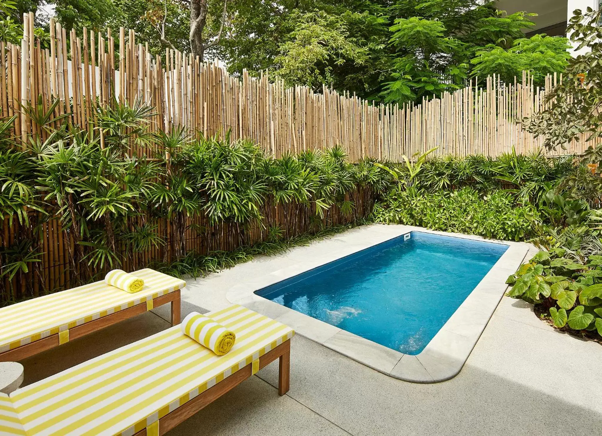 Pool view, Swimming Pool in The Standard, Hua Hin