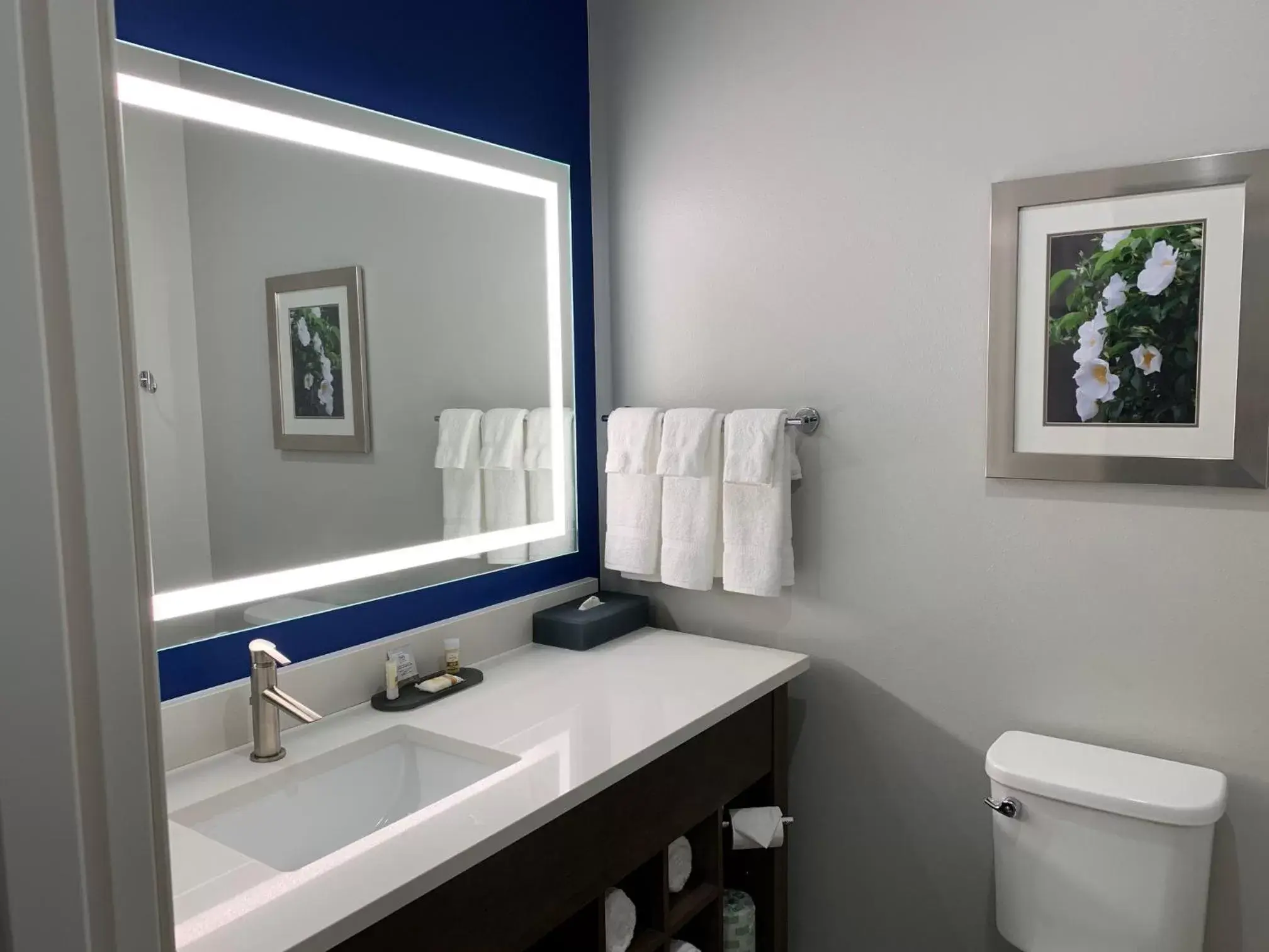Bathroom in La Quinta Inn & Suites by Wyndham Tifton