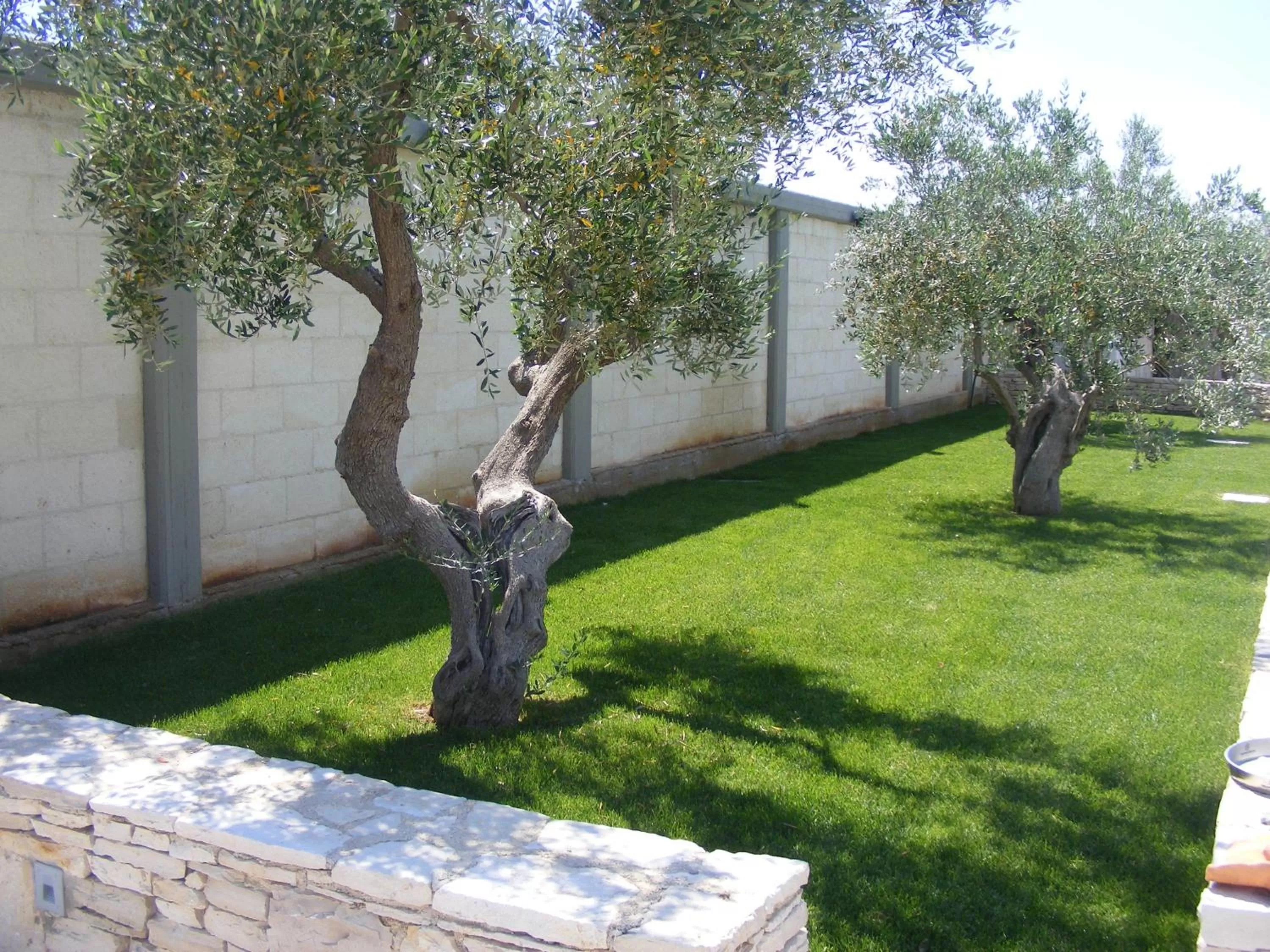 Garden in B&B FreeZone