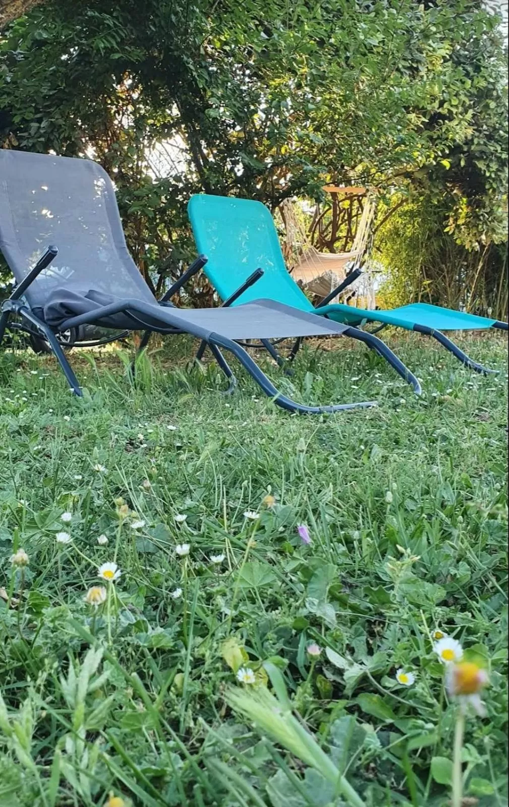Aux berges du pont du gard