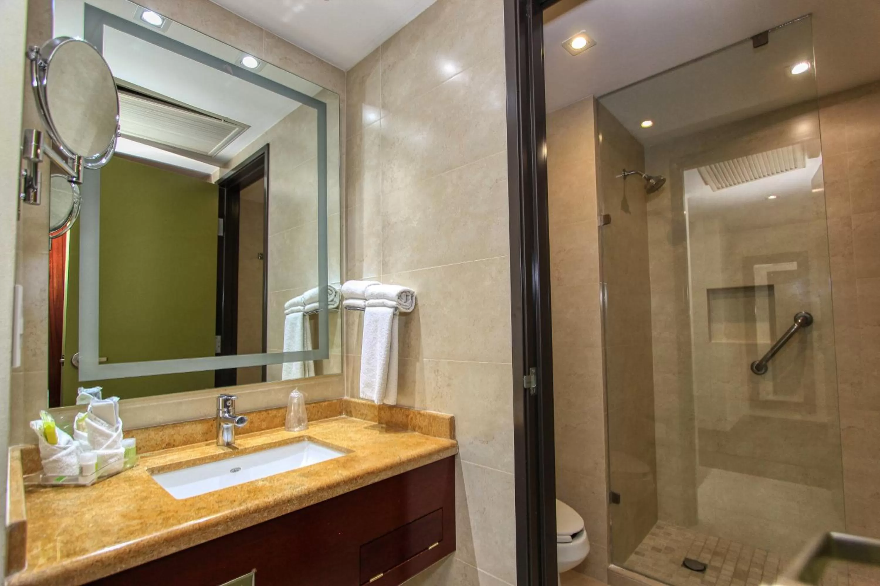Bathroom in Holiday Inn Leon by IHG