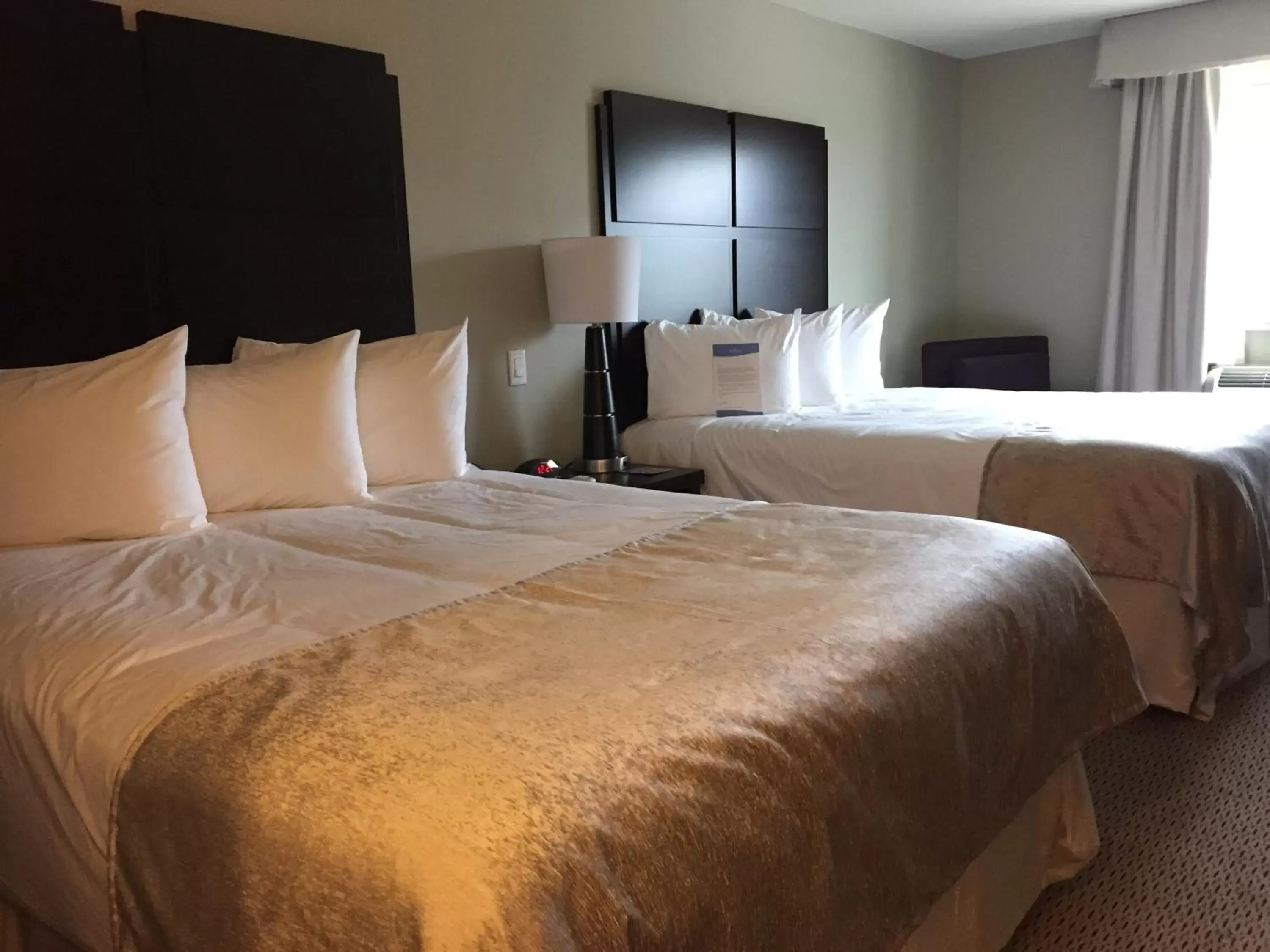 Bed in Baymont by Wyndham College Station