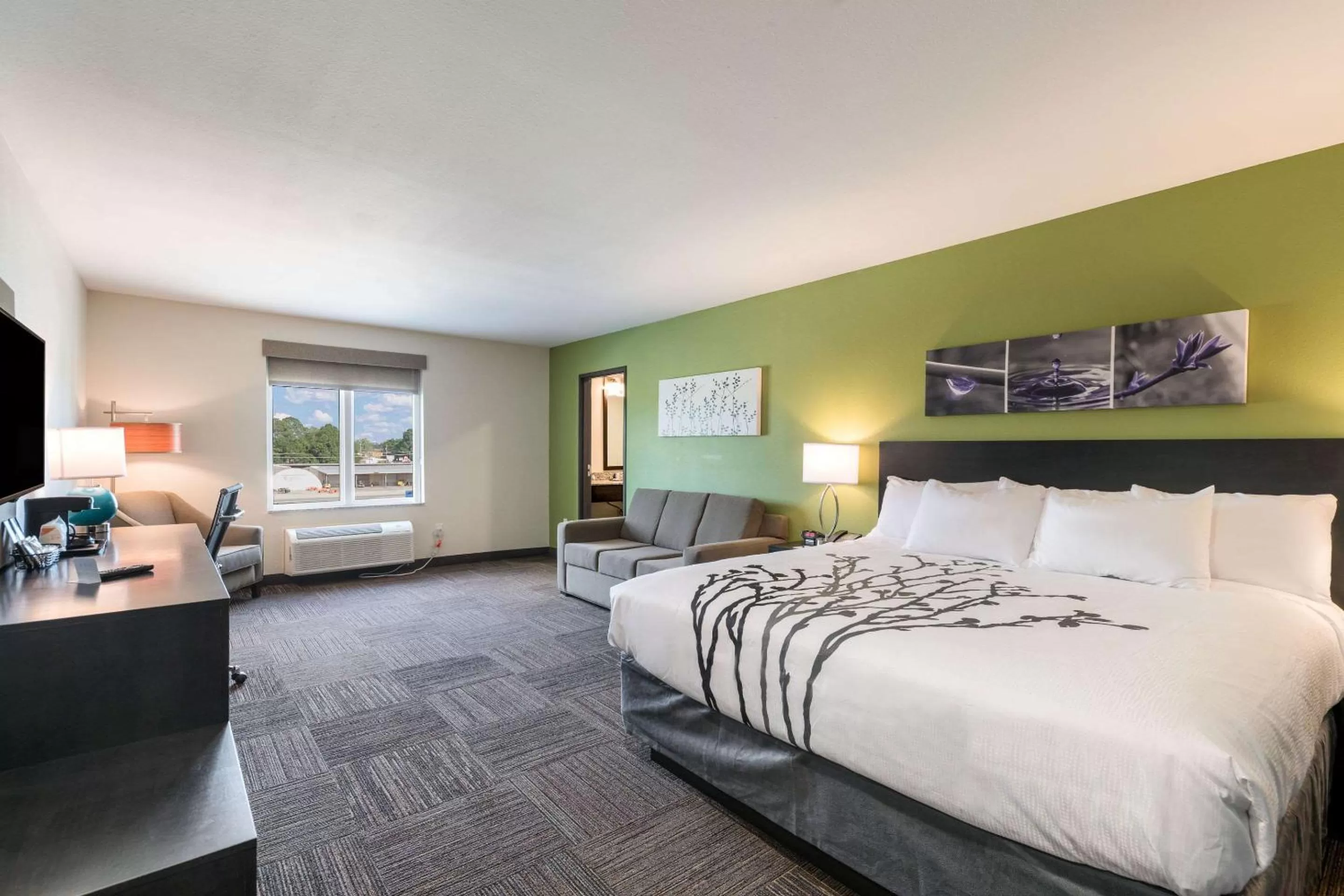 King Suite with Sofa Bed - Non-Smoking in Sleep Inn