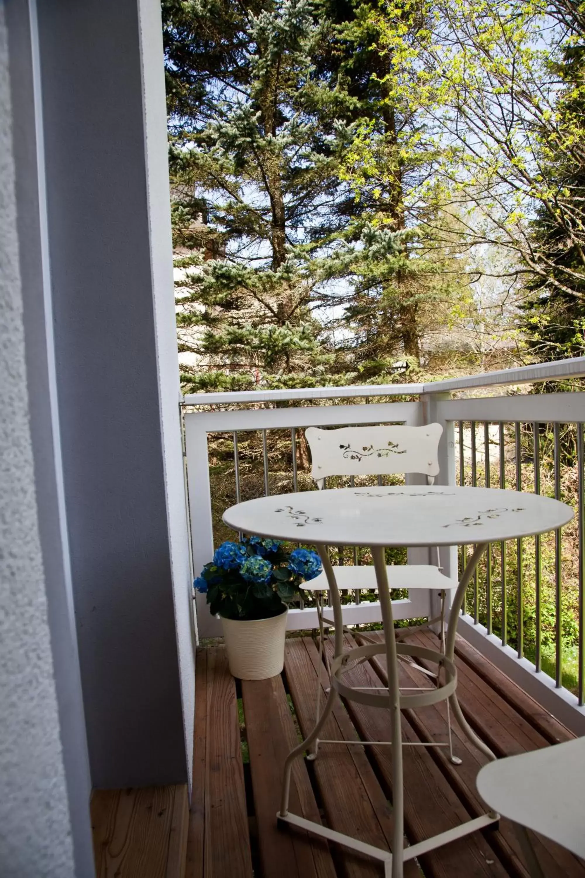 Balcony/Terrace in Villa Siegfried