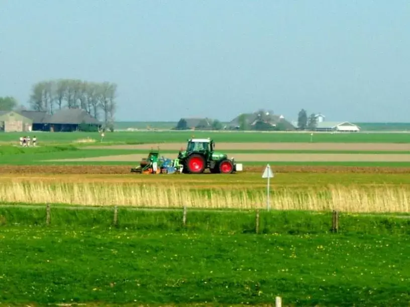 Spring in de Twee Paardjes