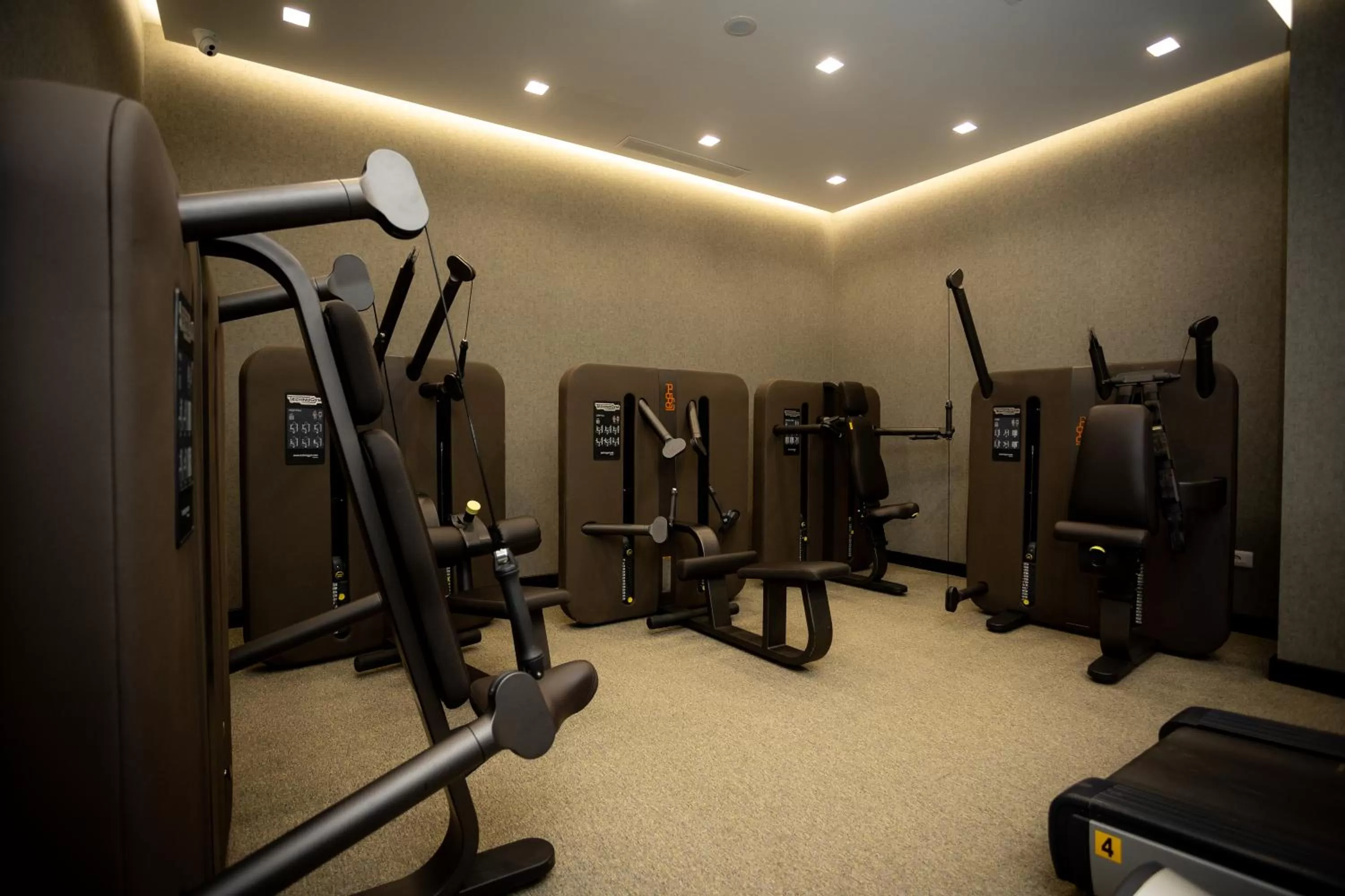 Fitness centre/facilities in Deluxe Resort and SPA