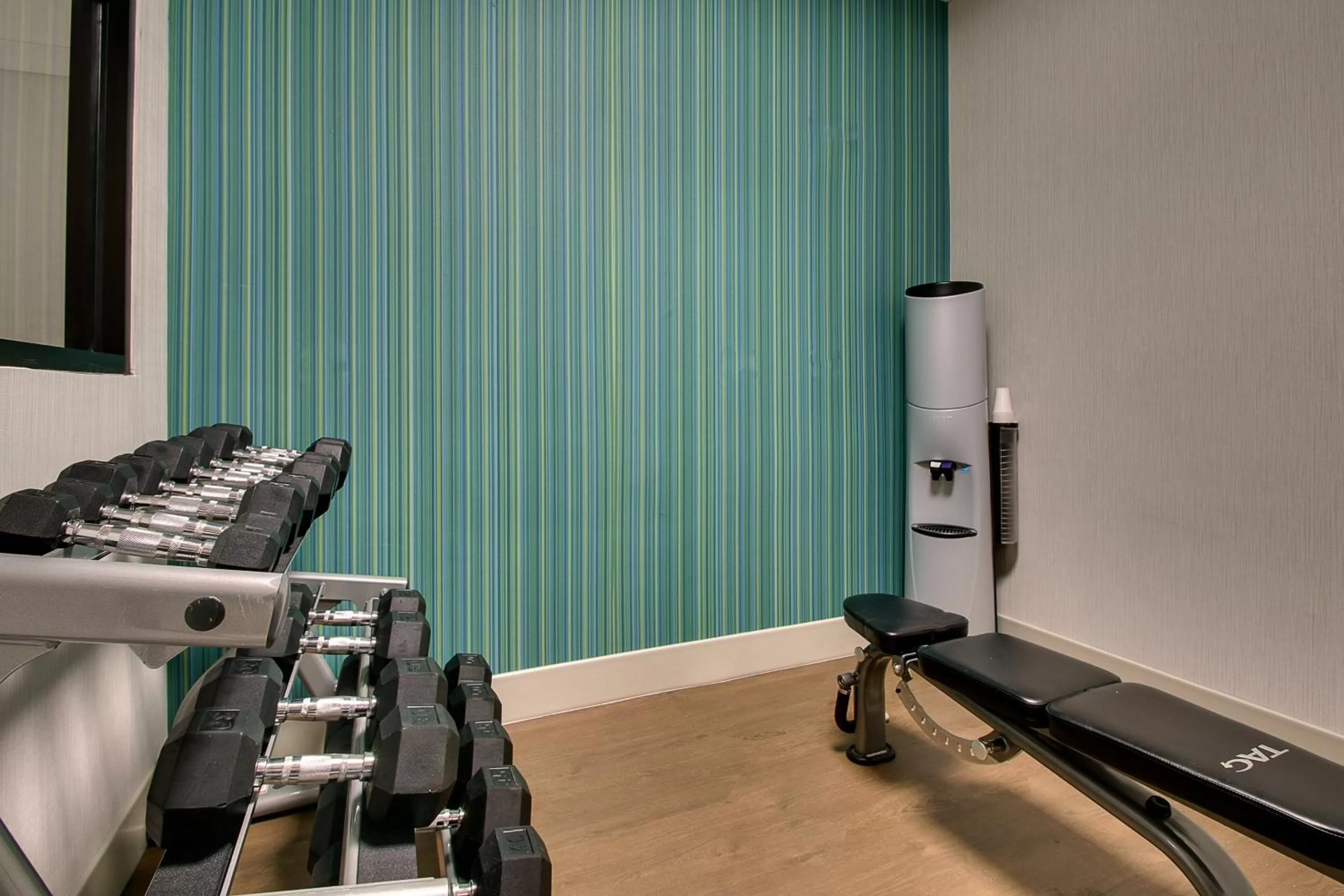 Fitness centre/facilities in Holiday Inn Express Hotel & Suites Austell Powder Springs by IHG