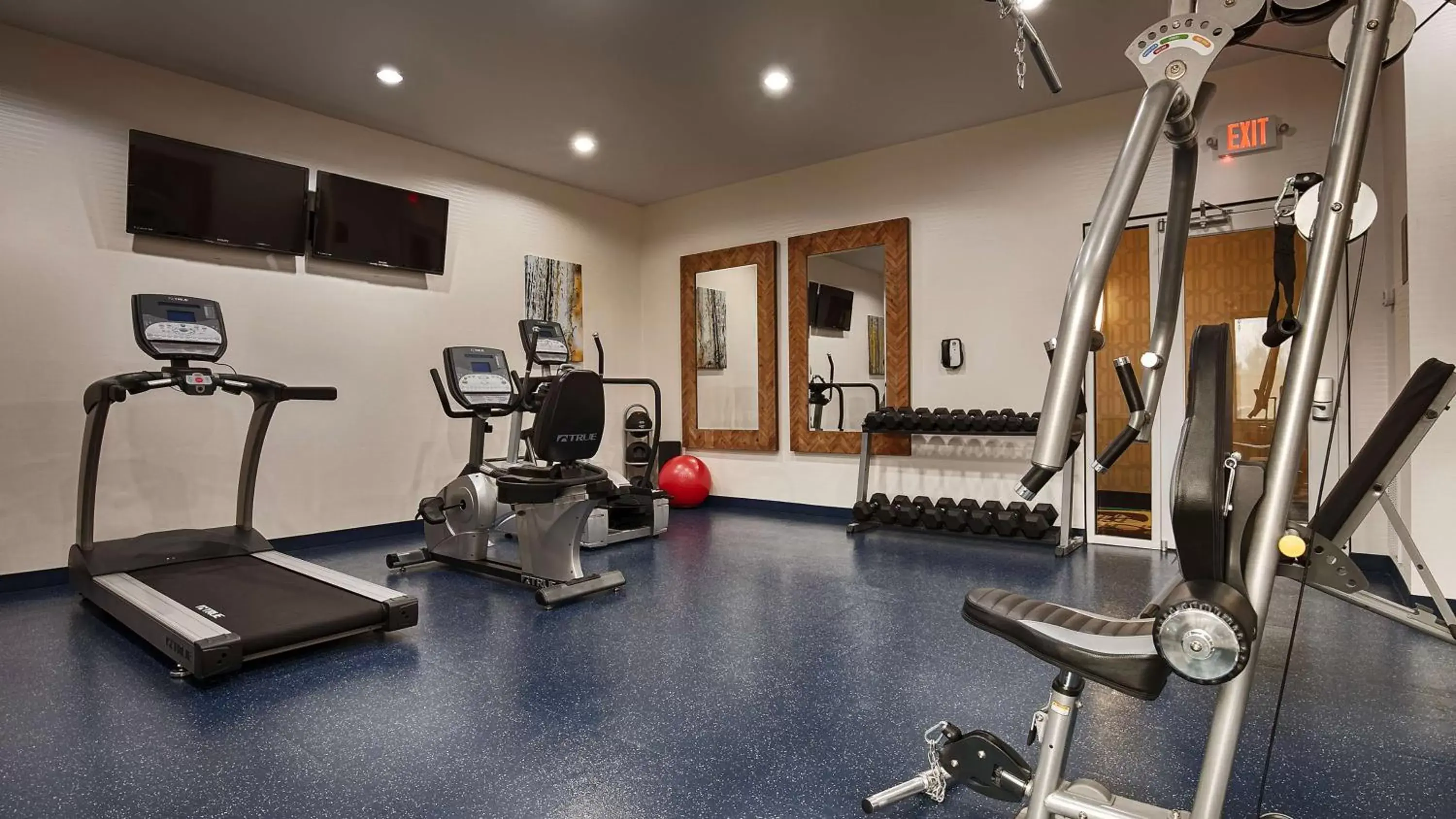 Fitness centre/facilities, Fitness Center/Facilities in Best Western Premier Ashton Suites - Willowbrook