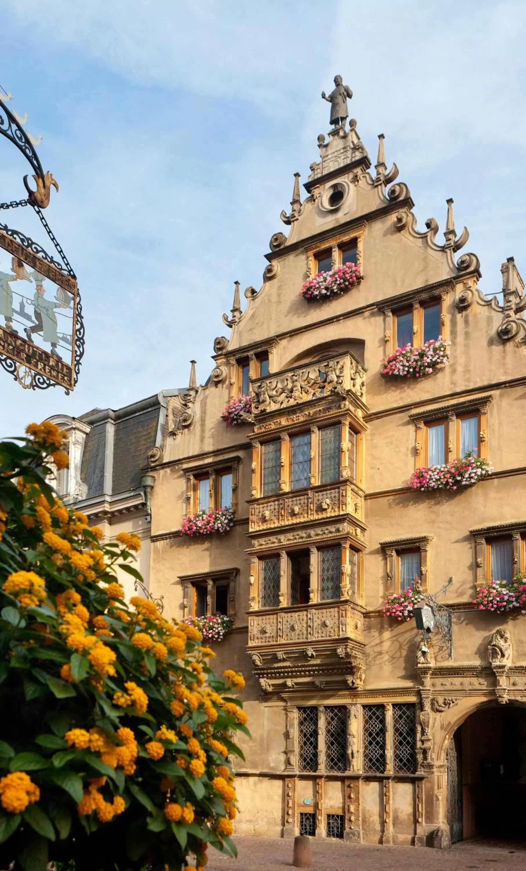 Area and facilities in Ibis Styles Colmar Centre