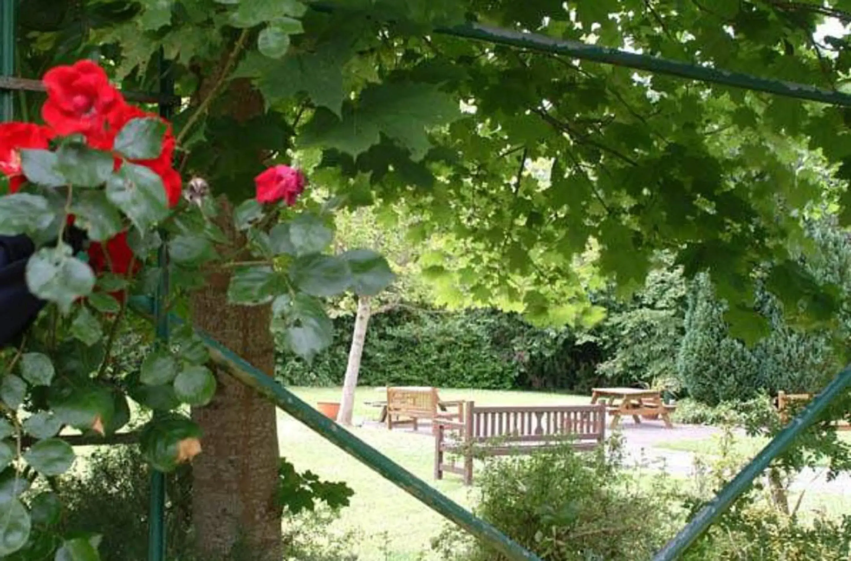 Garden in Ardboyne Hotel