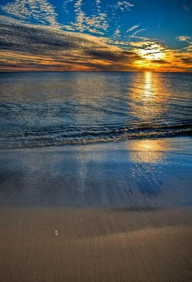 Beach in Hotel Pardini