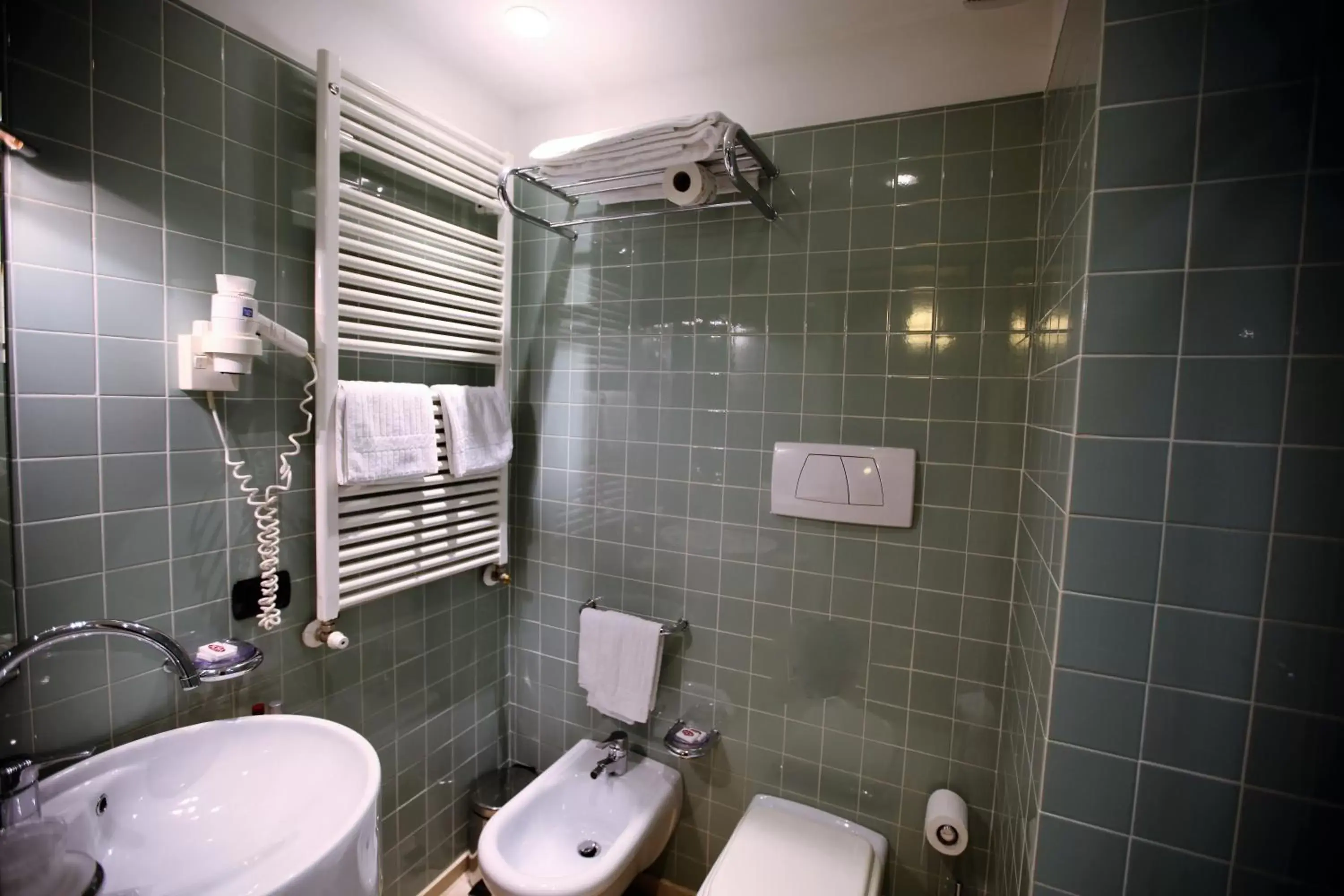 Toilet, Bathroom in Hotel Rosa