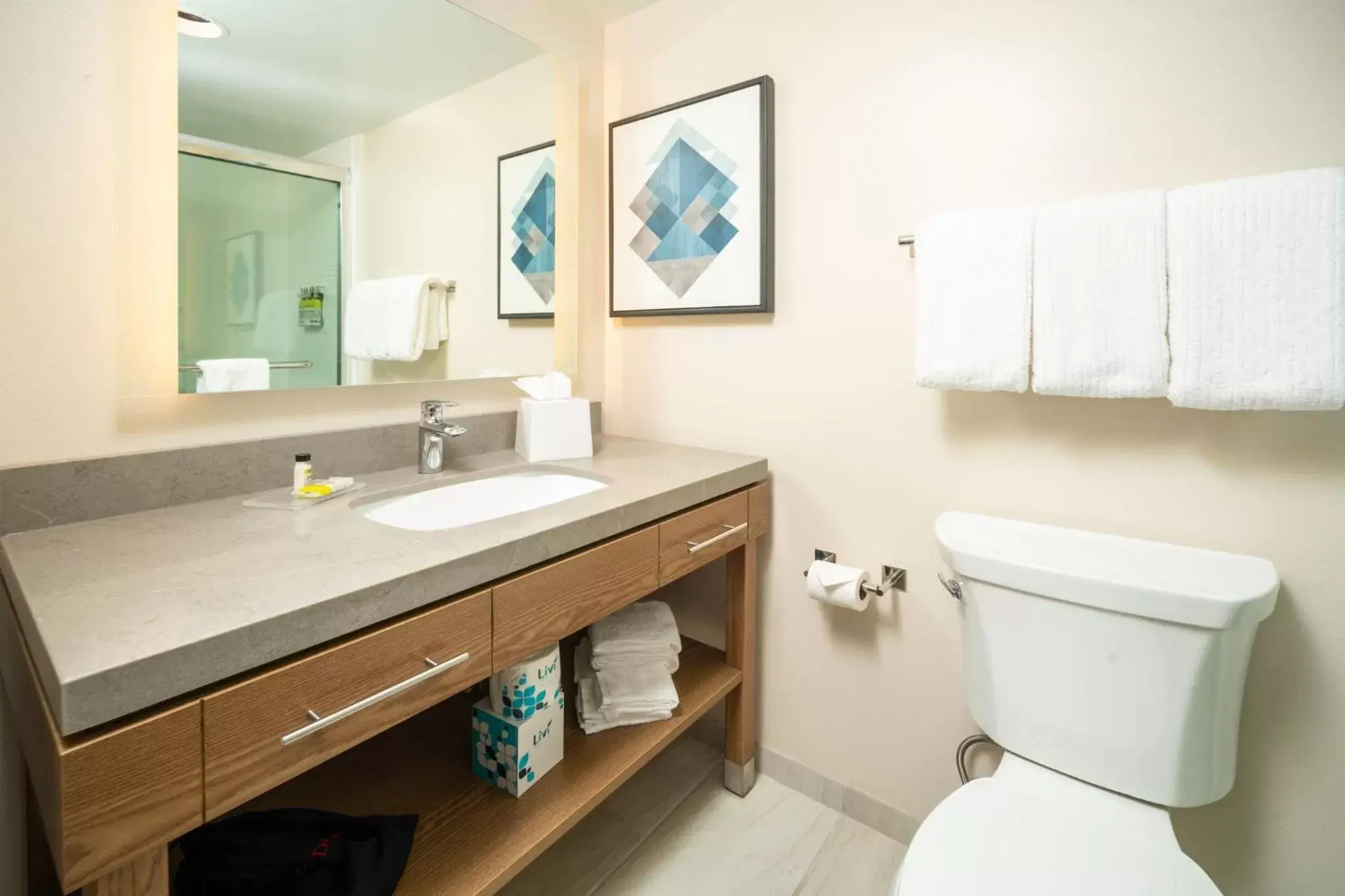 Toilet, Bathroom in Candlewood Suites Charleston – Mt. Pleasant, an IHG Hotel