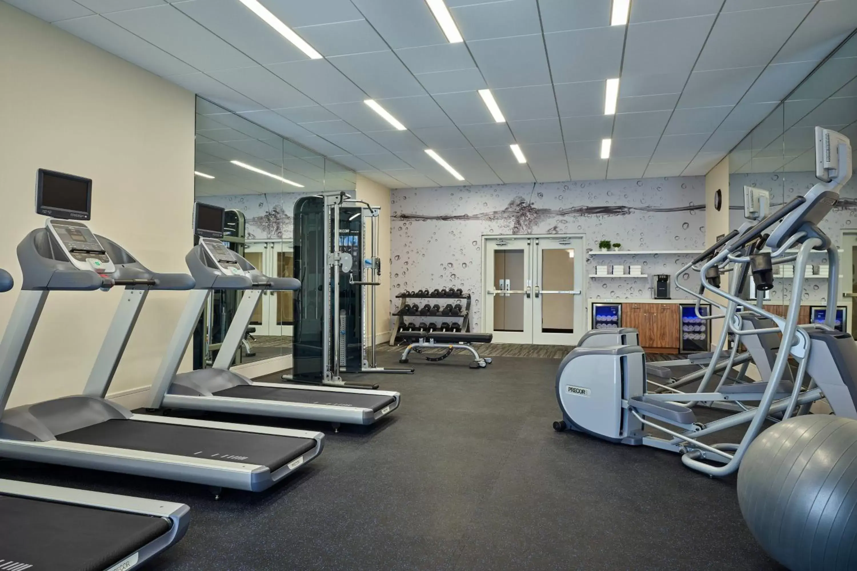 Fitness centre/facilities, Fitness Center/Facilities in Delta Hotels by Marriott Chicago Willowbrook