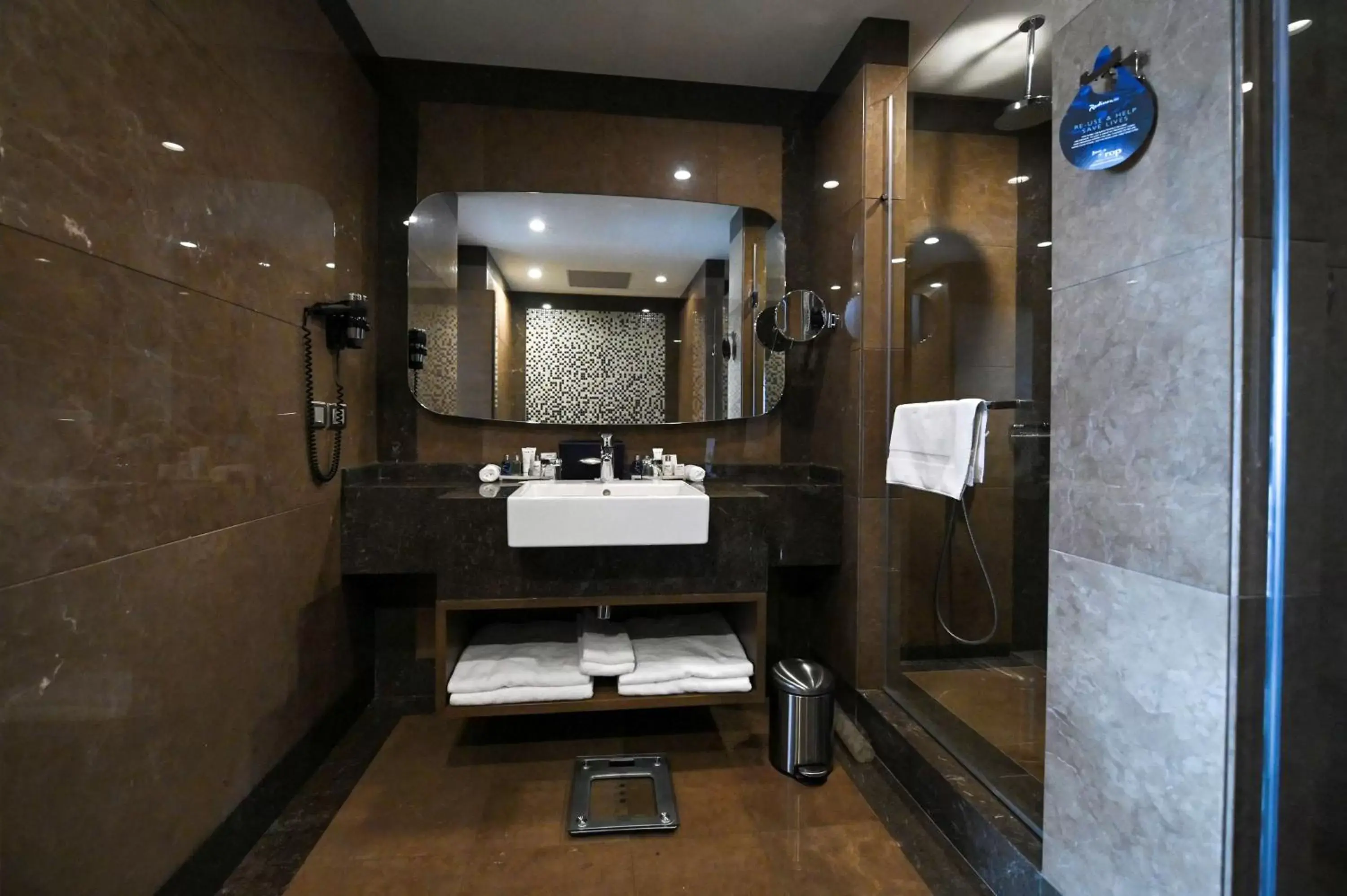 Shower, Bathroom in Radisson Blu Hotel, Abidjan Airport