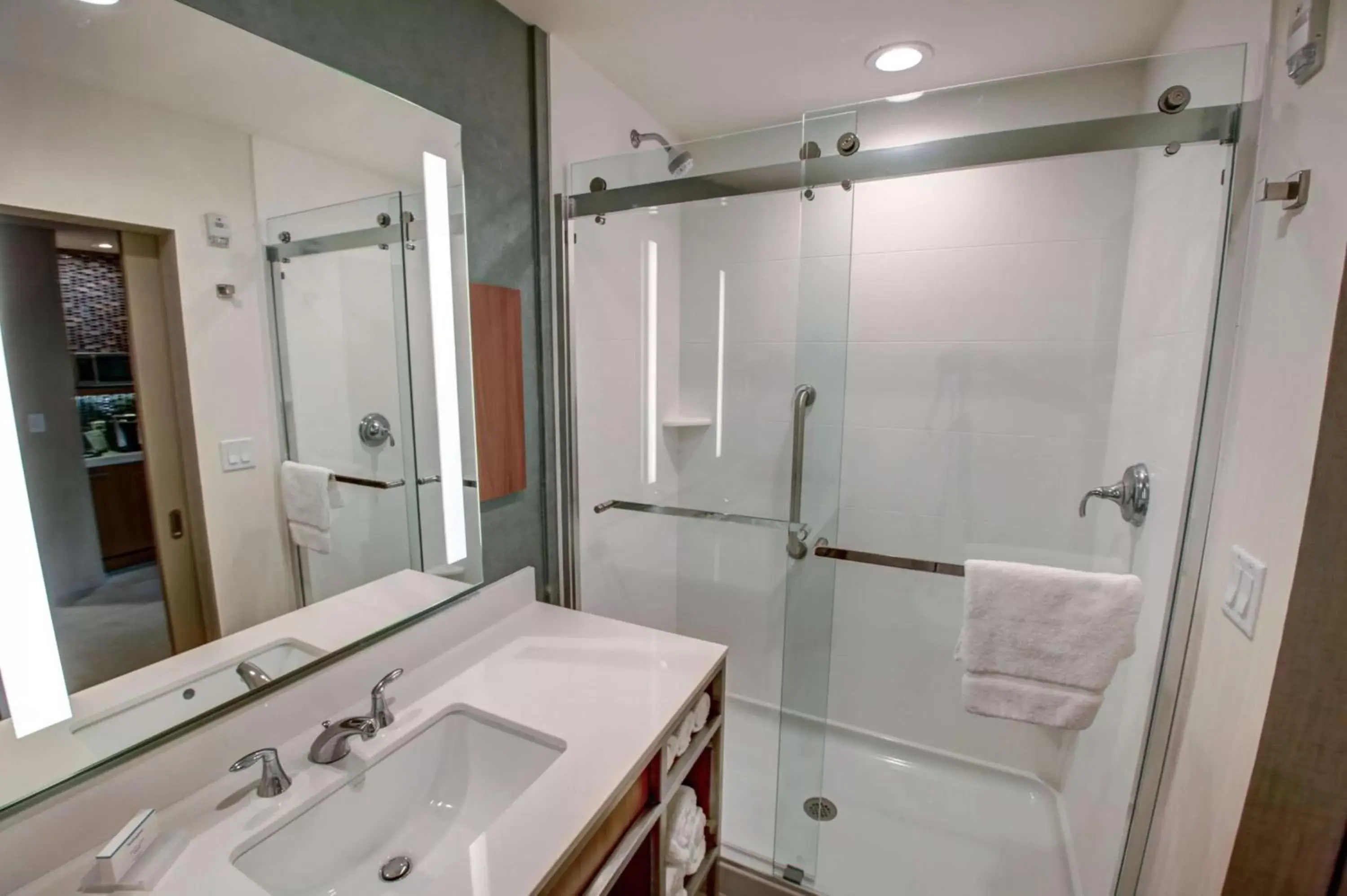 Bathroom in Hilton Garden Inn Tampa - Wesley Chapel