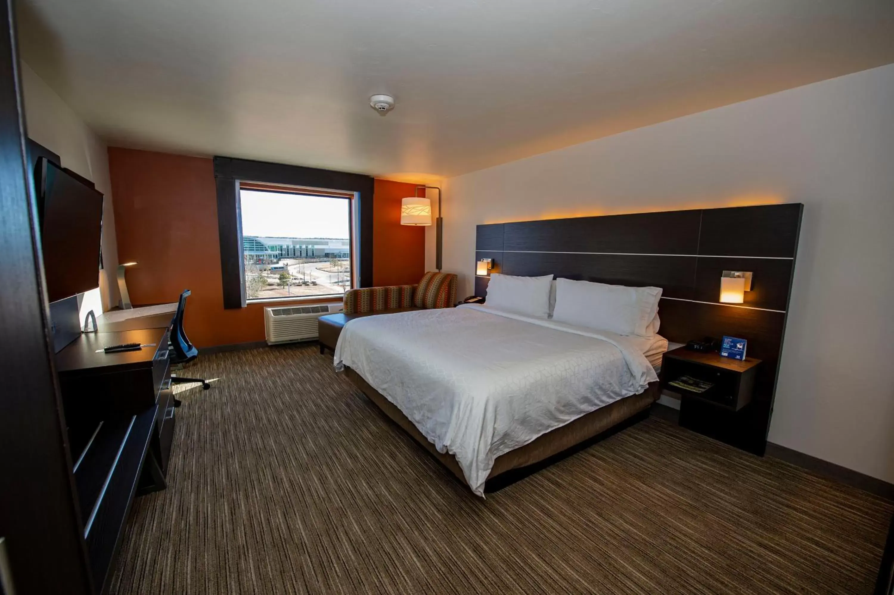 Photo of the whole room in Holiday Inn Express & Suites - Colorado Springs AFA Northgate, an IHG Hotel