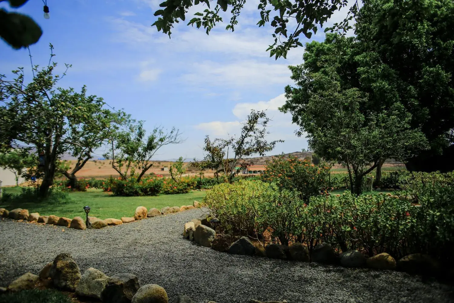 Natural landscape, Garden in Rancho el Parral