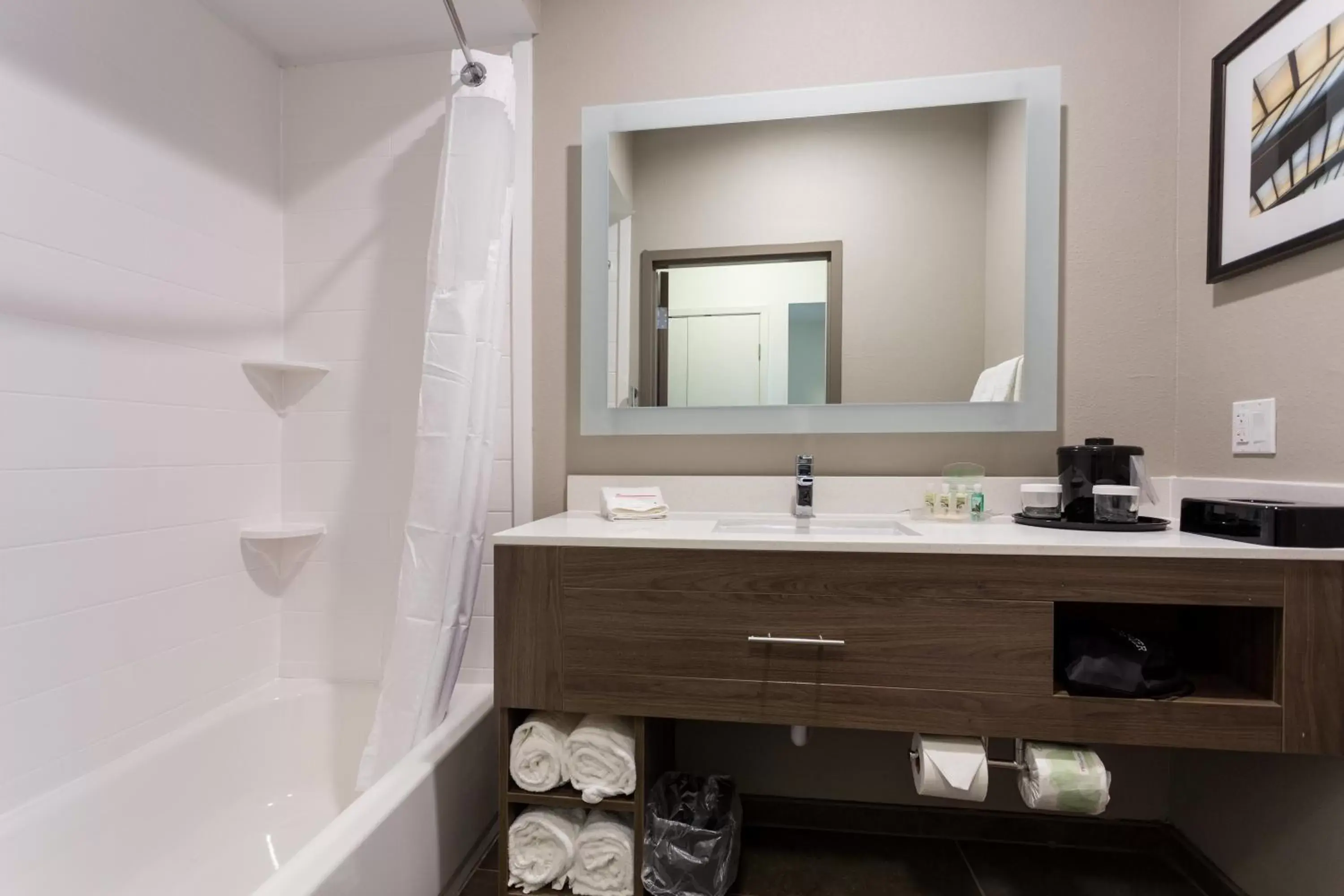 Photo of the whole room, Bathroom in Holiday Inn San Marcos Convention Center, an IHG Hotel