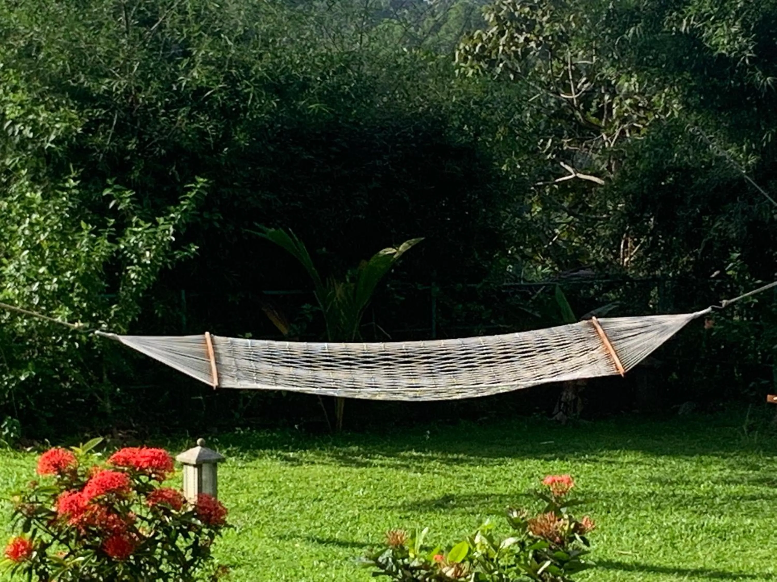 Garden in AMARA AYURVEDA RETREAT- Overlooking Evergreen Western Ghats an ecologically sustainable living space in Kovalam