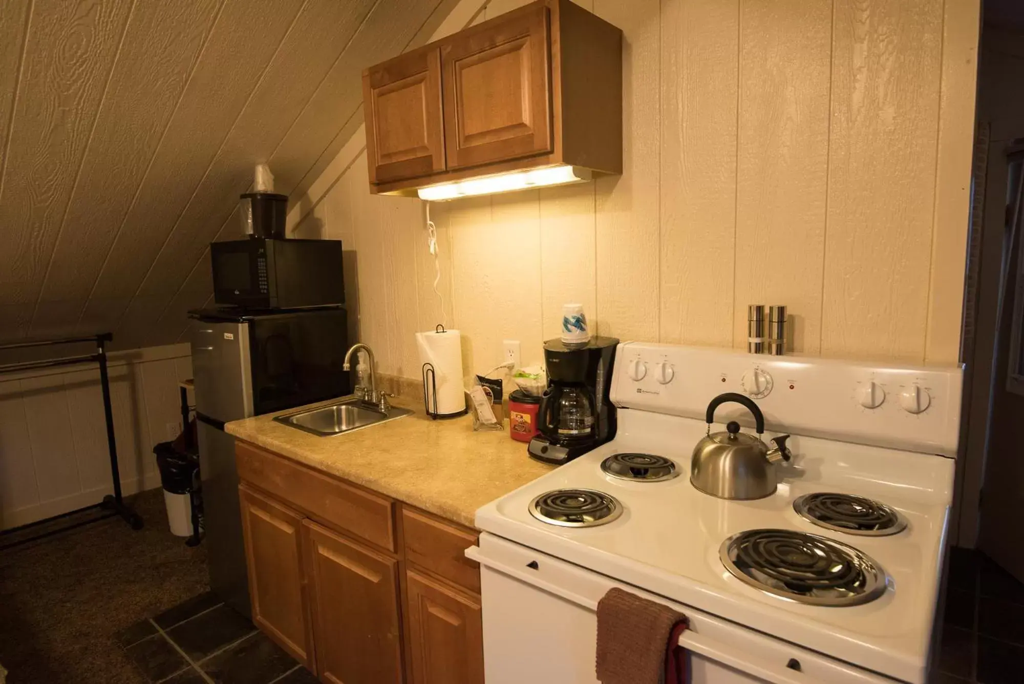 Kitchen/Kitchenette in Timber Ridge Lodge Ouray