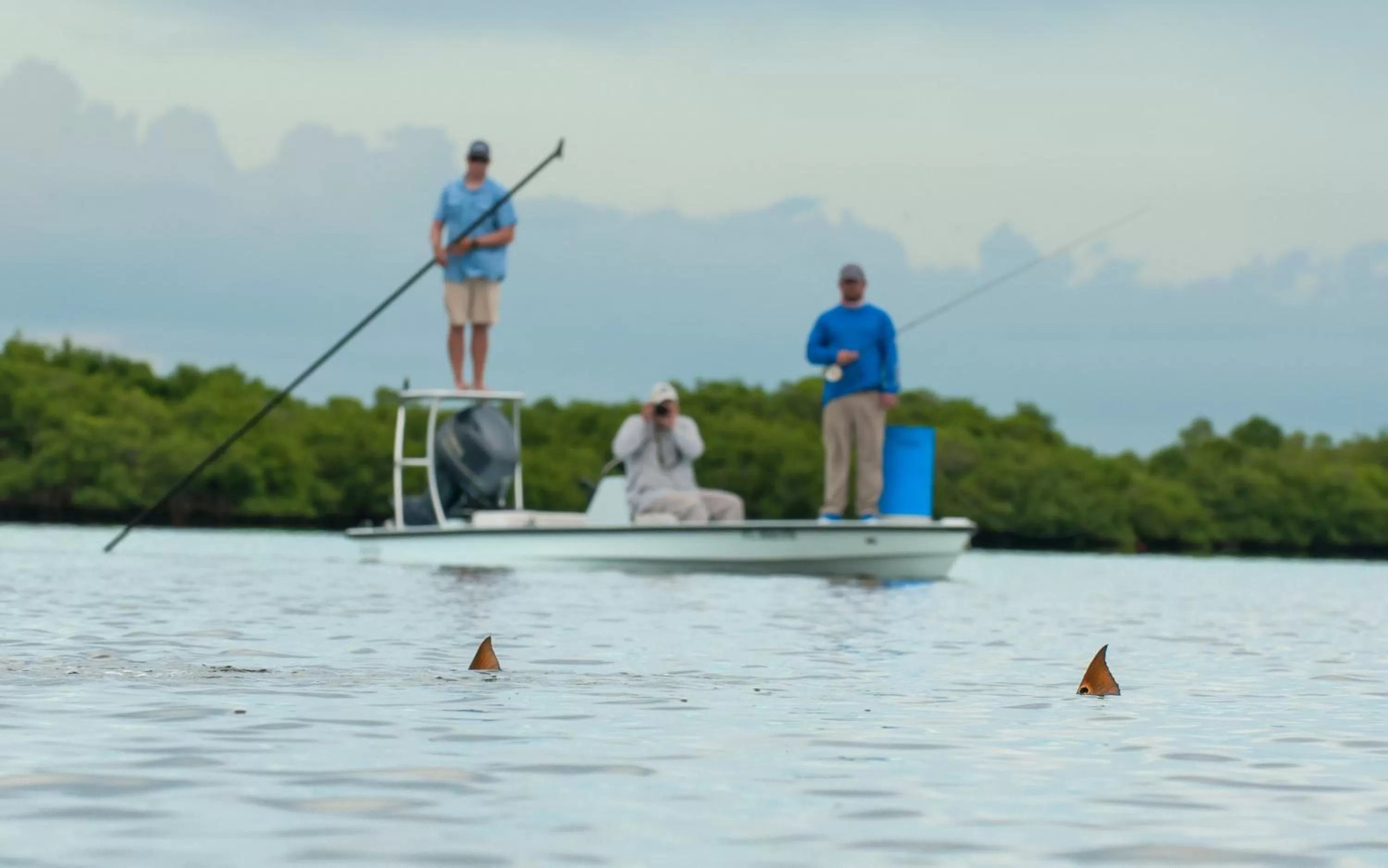 Fishing in Black Dolphin Inn