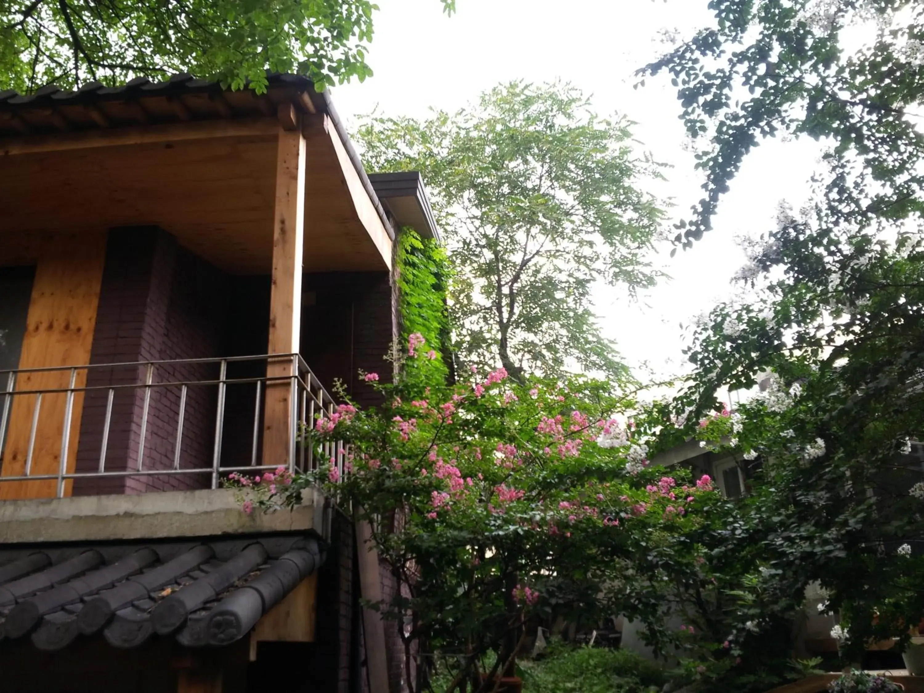 Garden in Jiwoljang Guest House