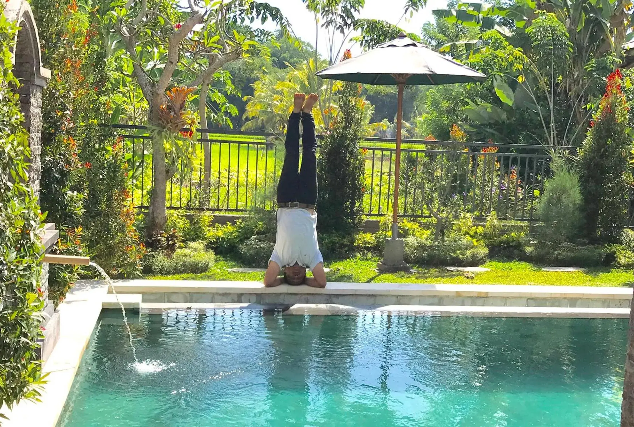 Pool view, Swimming Pool in Ubud Paradise Villa