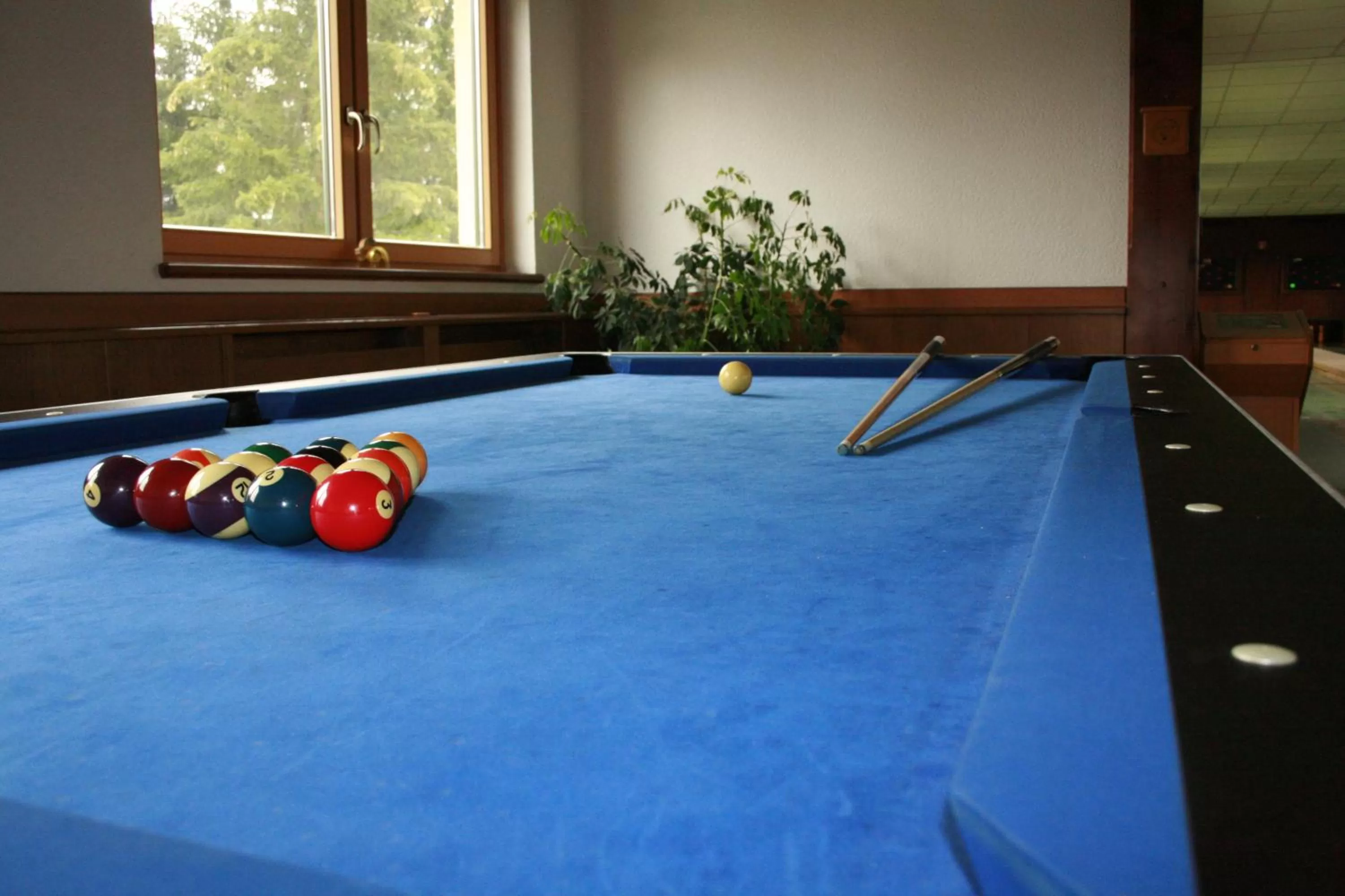 Billiard in Berghof Mitterberg