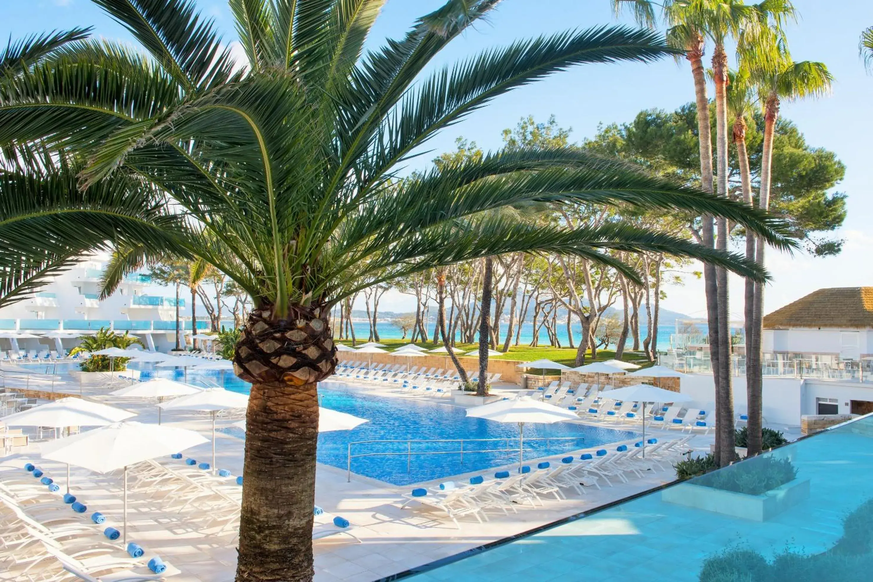 Swimming Pool in Iberostar Playa de Muro