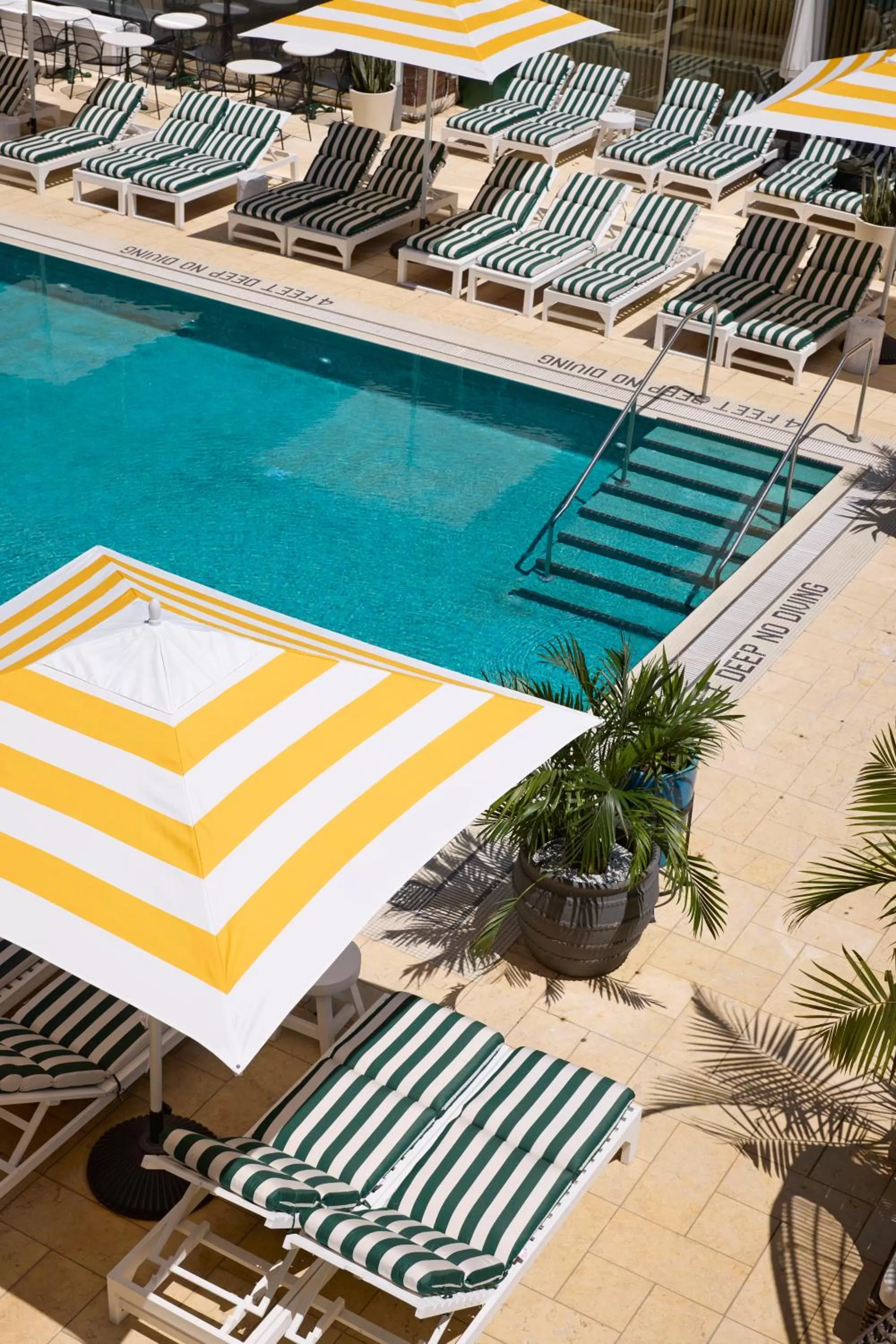 Swimming pool in CODA Williamsburg