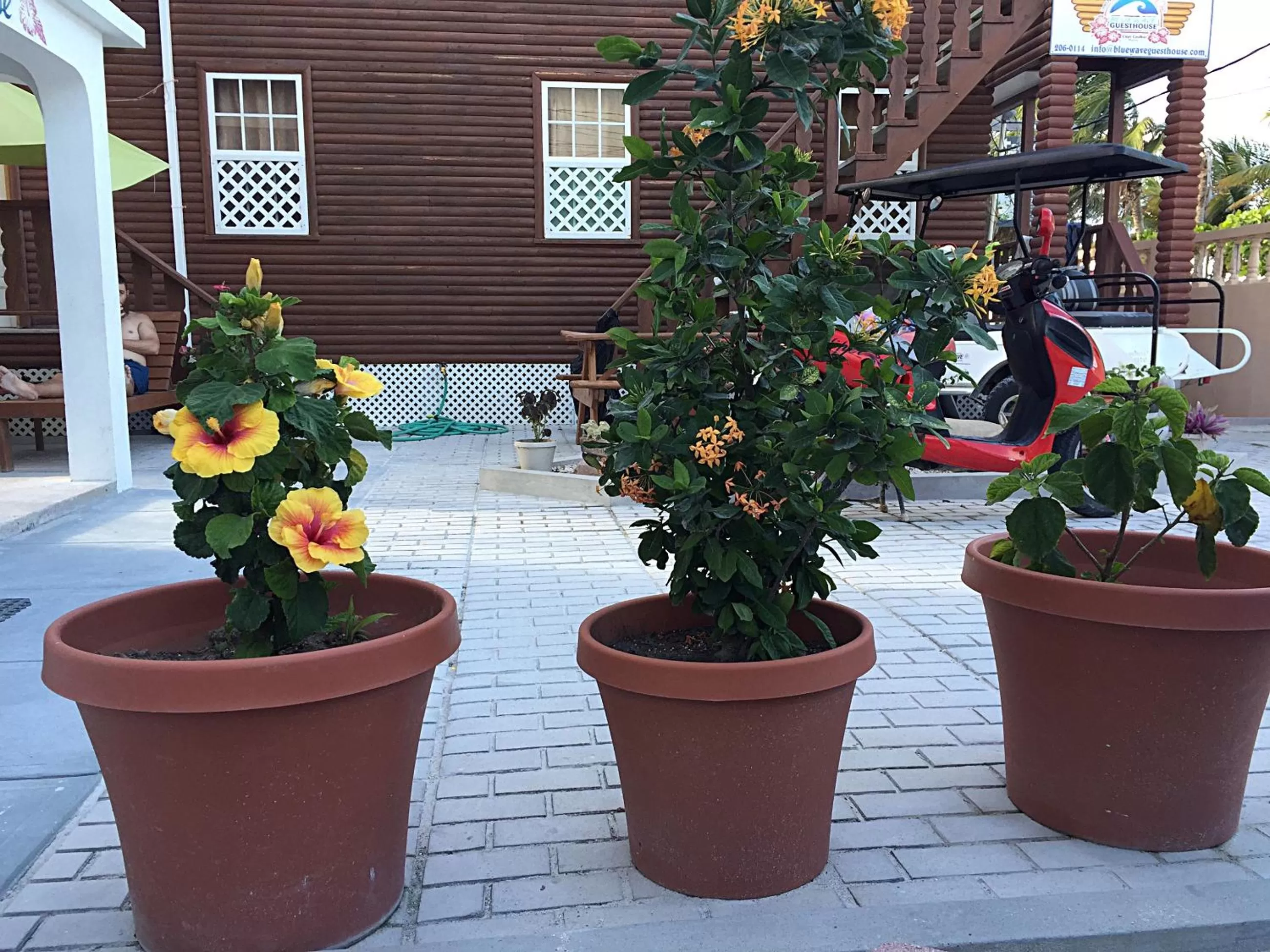 Decorative detail in Blue Wave Guest House
