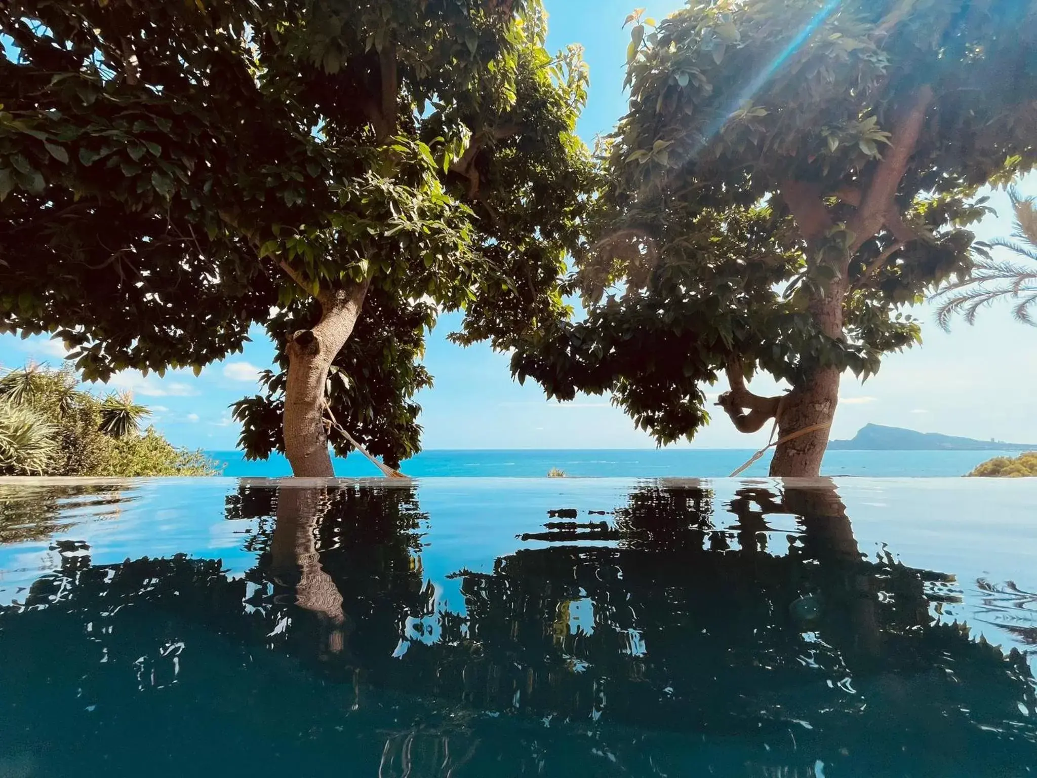 Swimming Pool in El jardin Botánico Villa LUZ