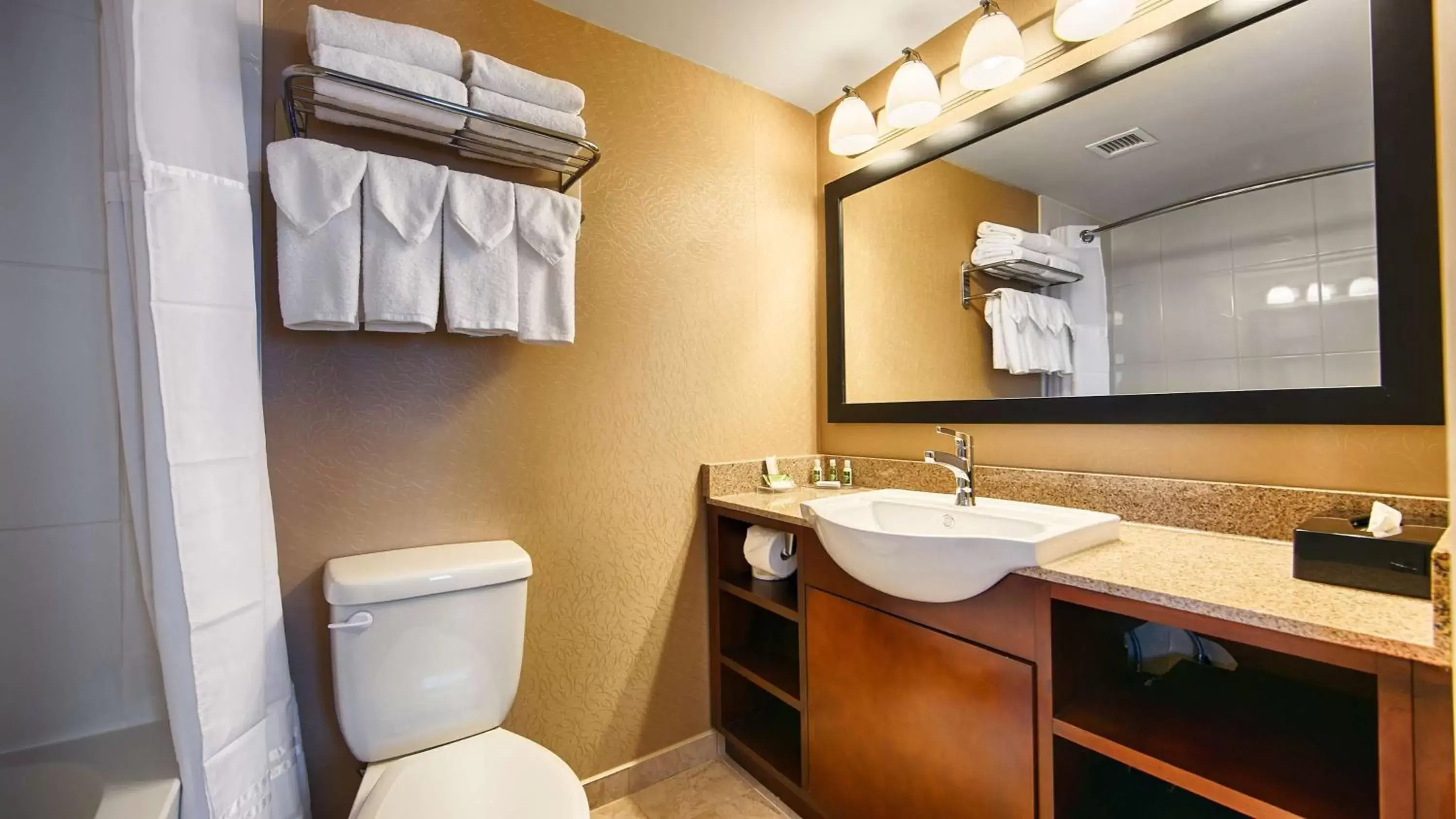 Bathroom in Best Western Plus Suites Downtown Calgary