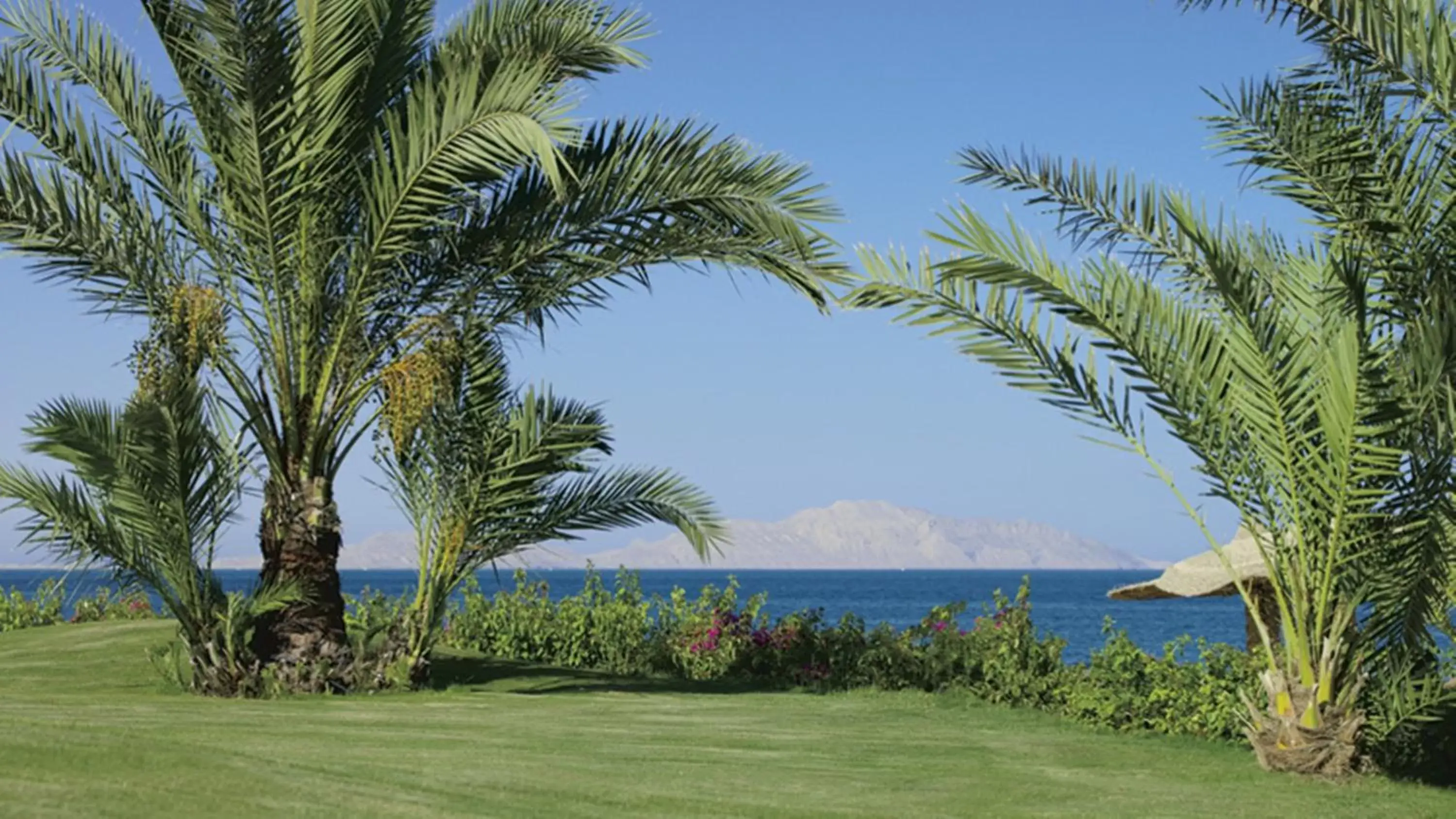 Area and facilities, Garden in Monte Carlo Sharm Resort & Spa